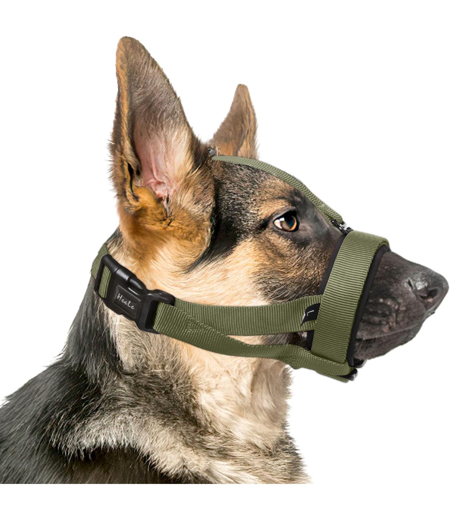 Buy Heele Dog Muzzle with Head Belt - Safe Comfortable & Adjustable | International Shipping Available - Buy Online on GoSupps.com