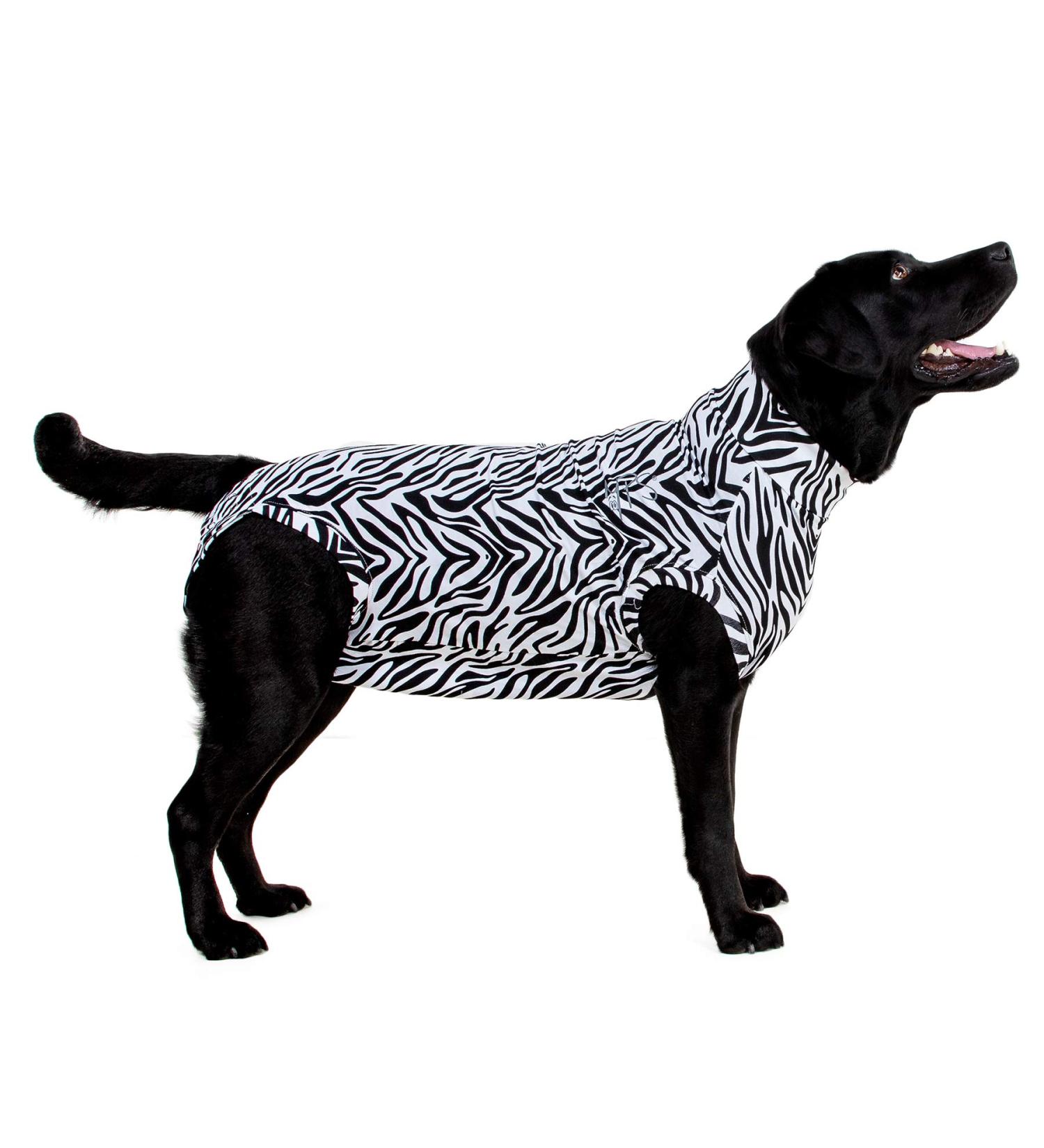 Buy MPS Medical Pet Shirt for Dogs - Zebra Print XXL | International Shipping Available - Buy Online on GoSupps.com