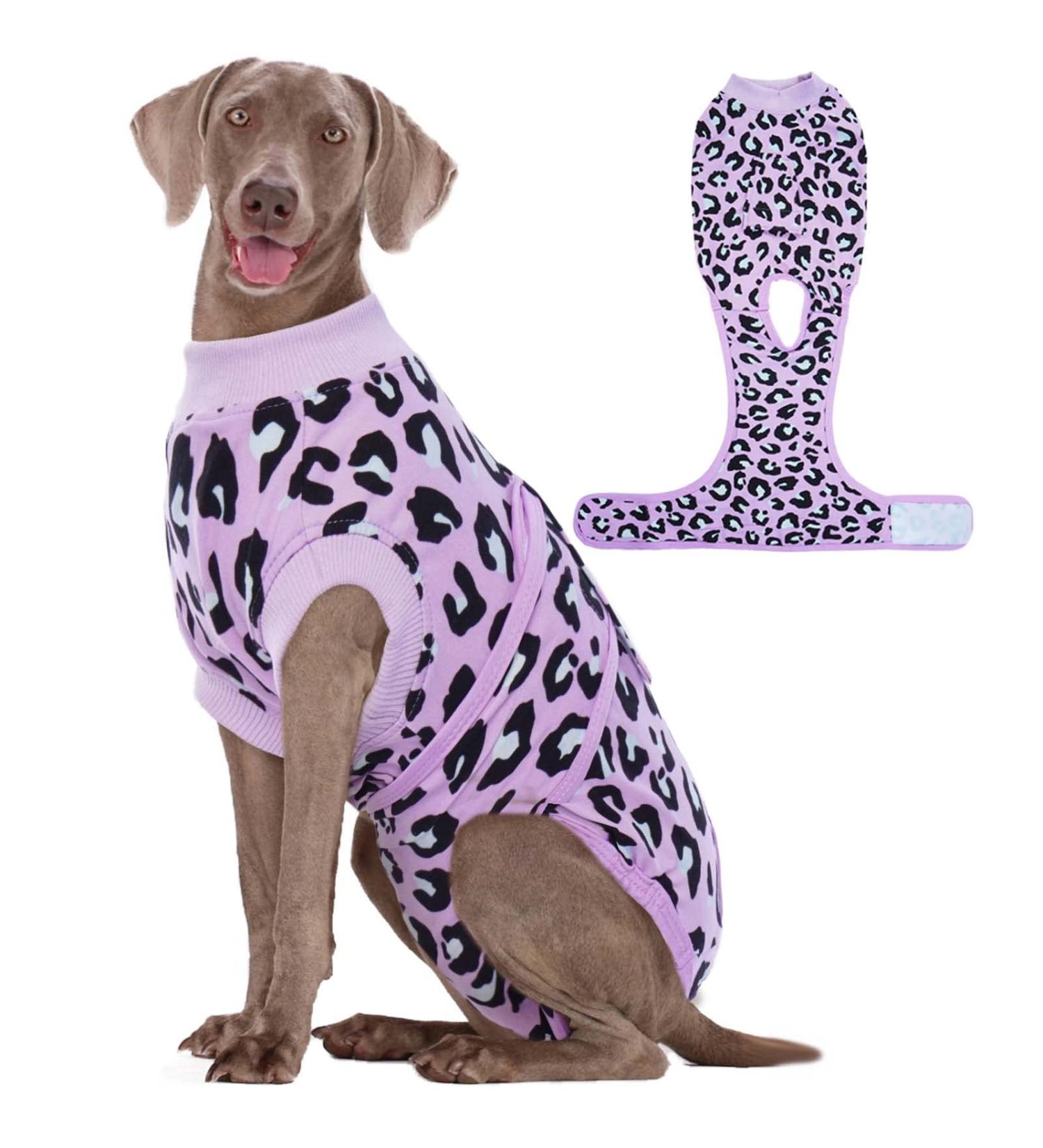 Kuoser Dog Body for Post-Op Recovery | Breathable & Comfortable E-Collar Alternative for Male & Female Dogs | Anti-Lick Surgery Body XL Purple - Buy Online on GoSupps.com