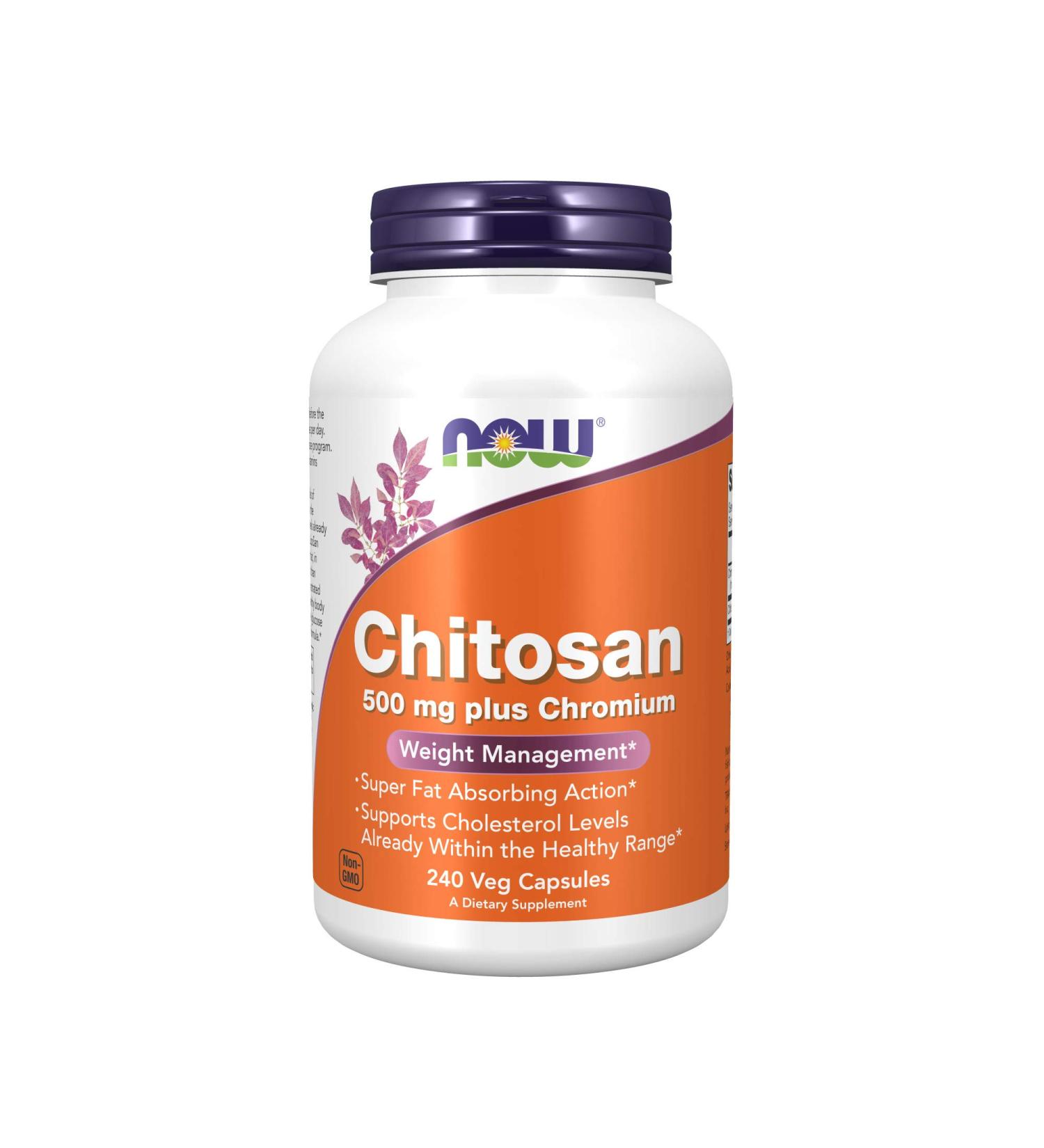 Now Foods Chitosan 500 mg - 240 Vegan Capsules for Weight Management - Buy Online on GoSupps.com