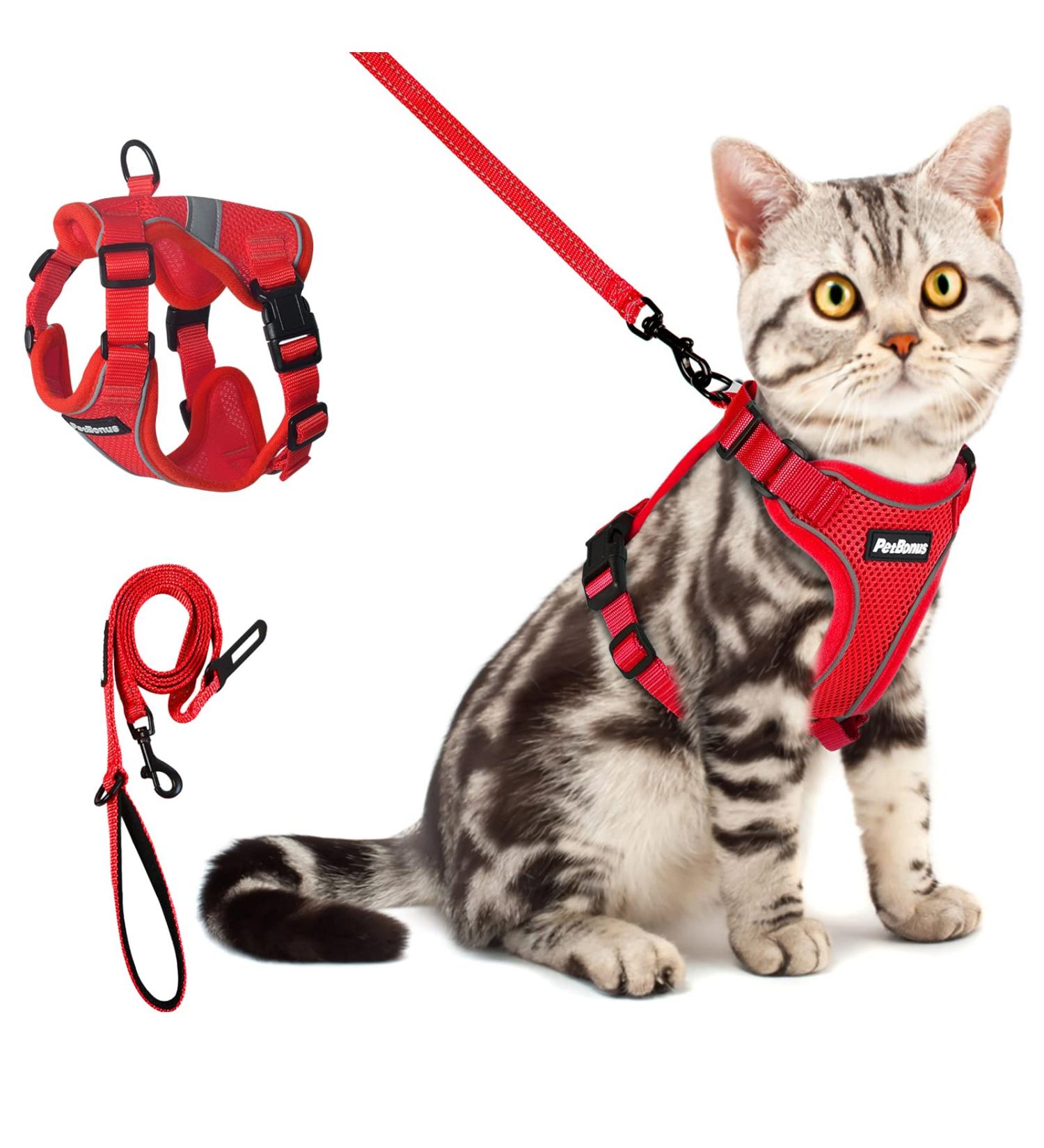 Petbonus Adjustable Cat Dishes & Leash Set - Soft Breathable Small Cat Bowls with Reflex Strips - Ideal for International Shipping - Buy Online on GoSupps.com