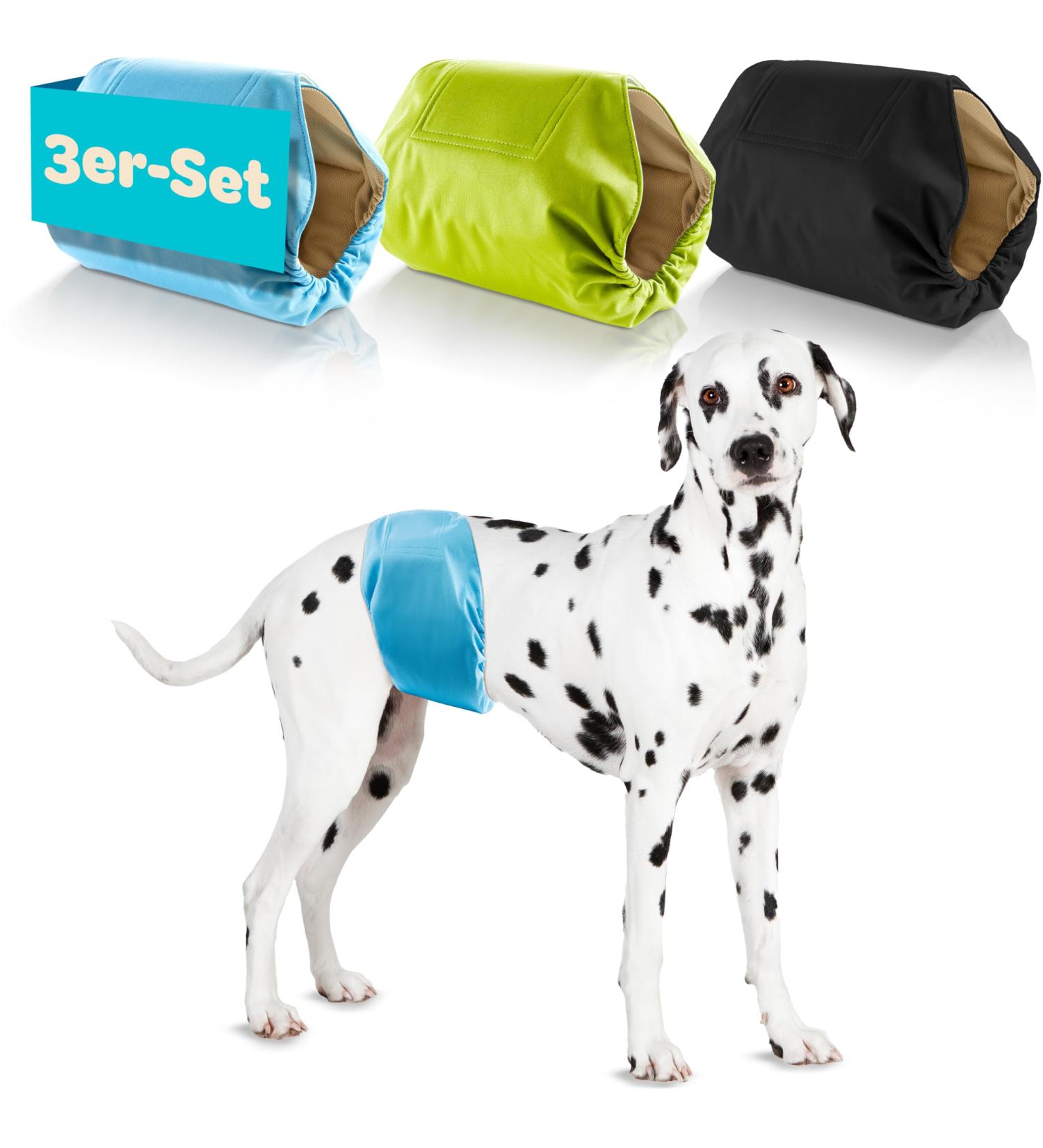 Buy Dog is K nig Male Dog Diapers (3 Pcs) - Comfortable Washable & Eco-Friendly Incontinence Solutions | Black Blue Green | Size M (38-50cm) - Buy Online on GoSupps.com