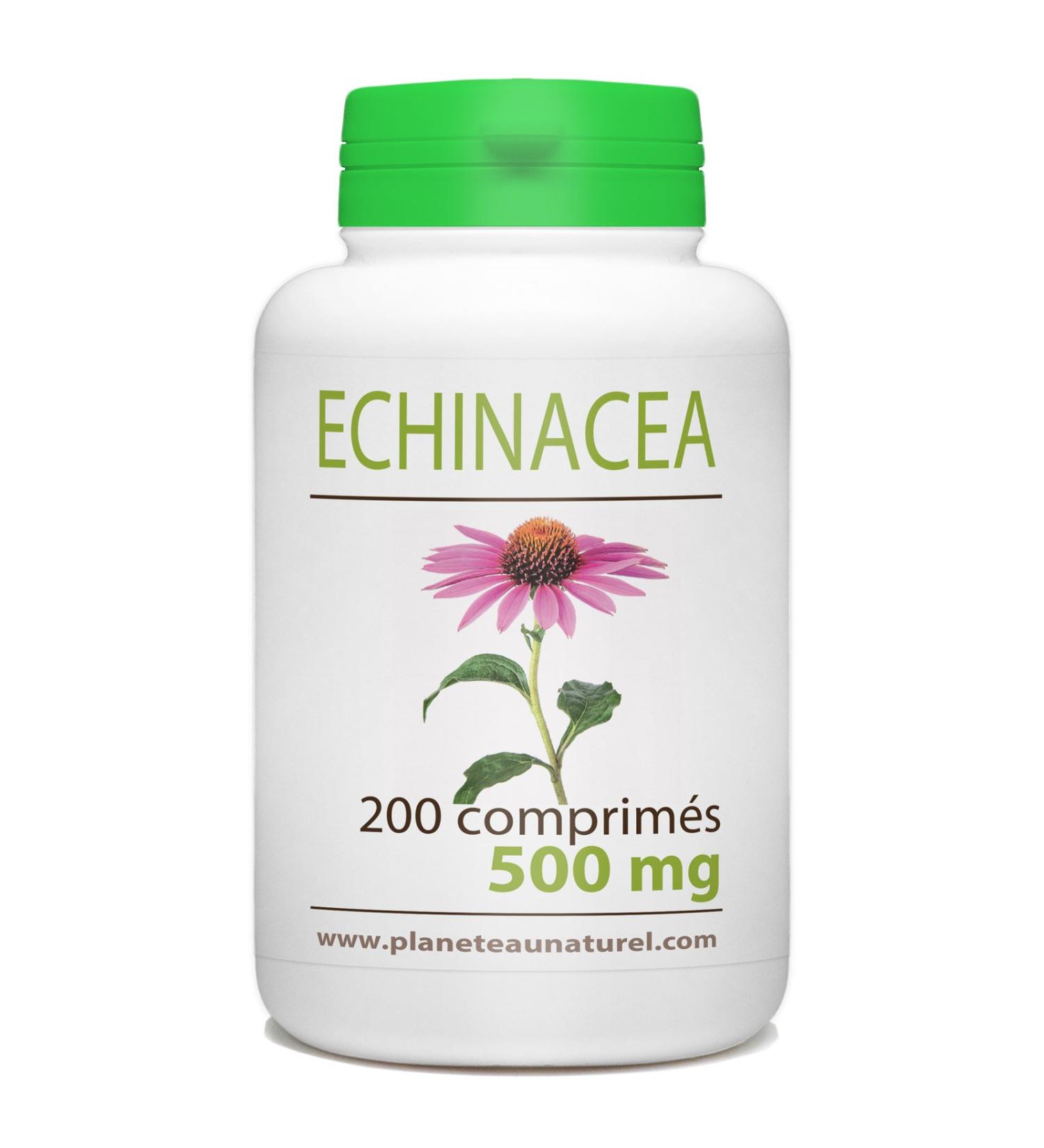 Echinacea - 500 mg - 200 tablets - Buy Online on GoSupps.com