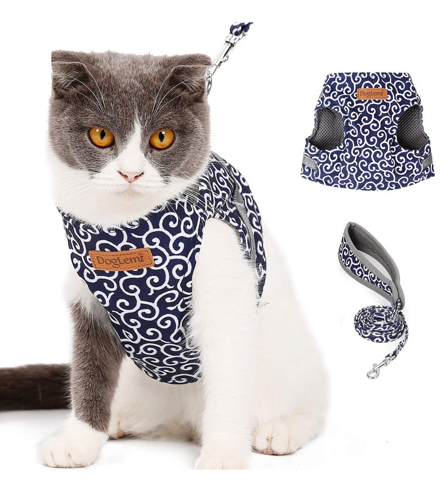 Buy Etopars Adjustable Cat Dishes & Ultra-Light Harness Vest for Kittens | International Shipping Available - Buy Online on GoSupps.com