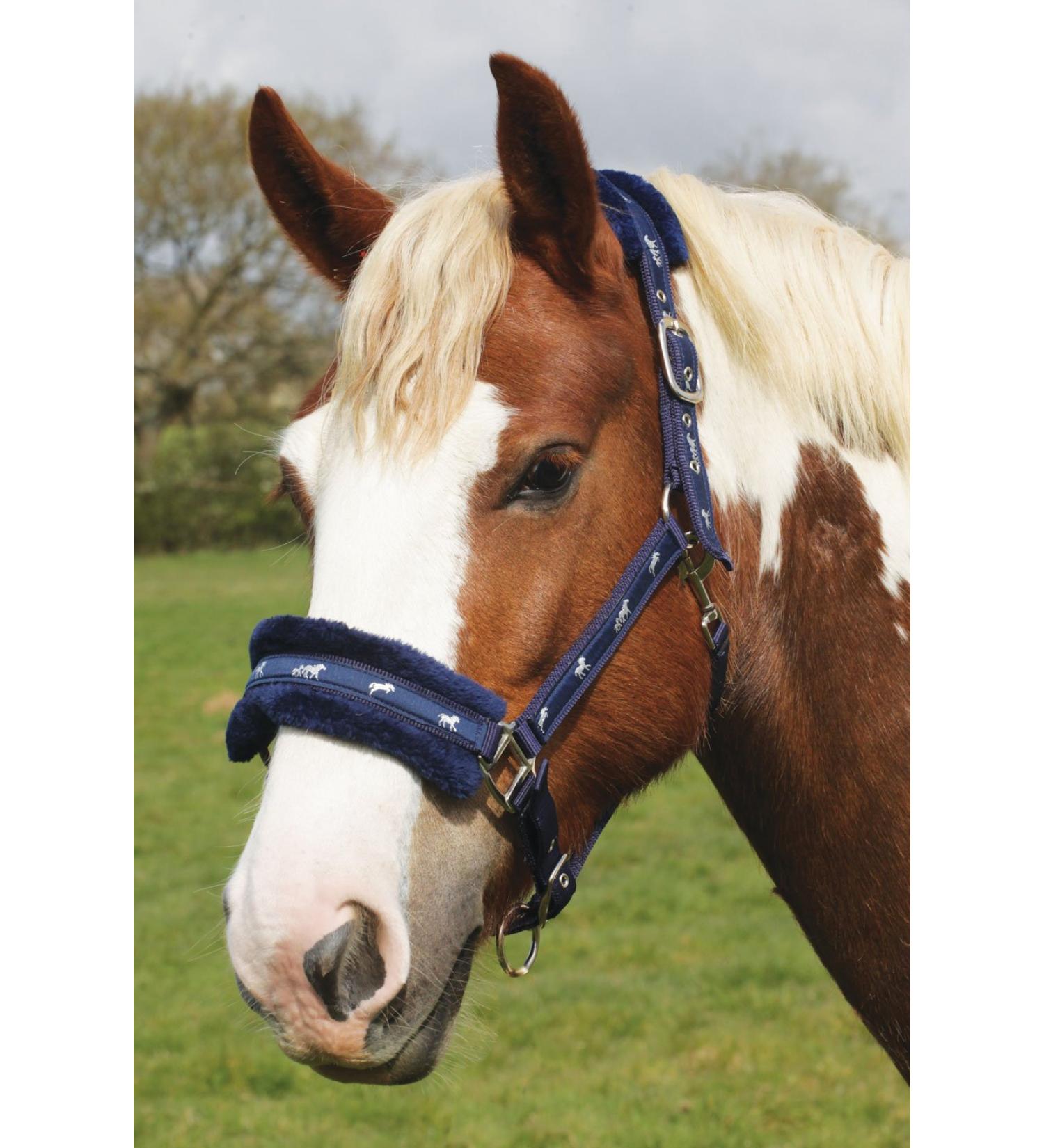 Rhinegold logo halter with fleece trim blue pony