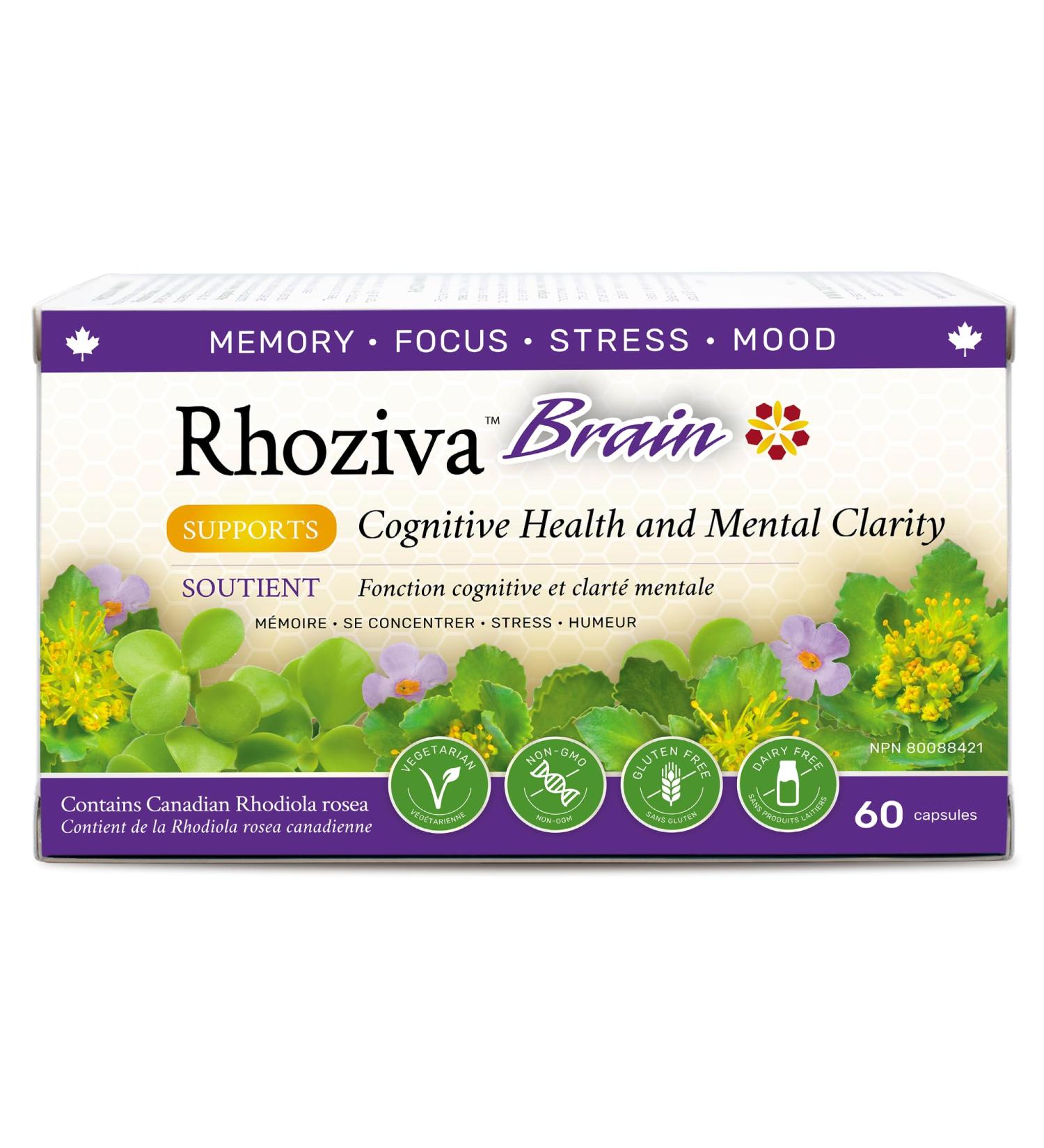 Rhoziva Brain Supplement. For Memory Focus Cognitive Health Concentration Support & Natural Stress Relief. With Bacopa Monnieri Rhodiola Rosea Vitamin B Complex Vitamin A Biotin. Nootropic brain supplement Gluten Free 60 Capsules (Pack of 1) 60 count (Pac - Buy Online on GoSupps.com