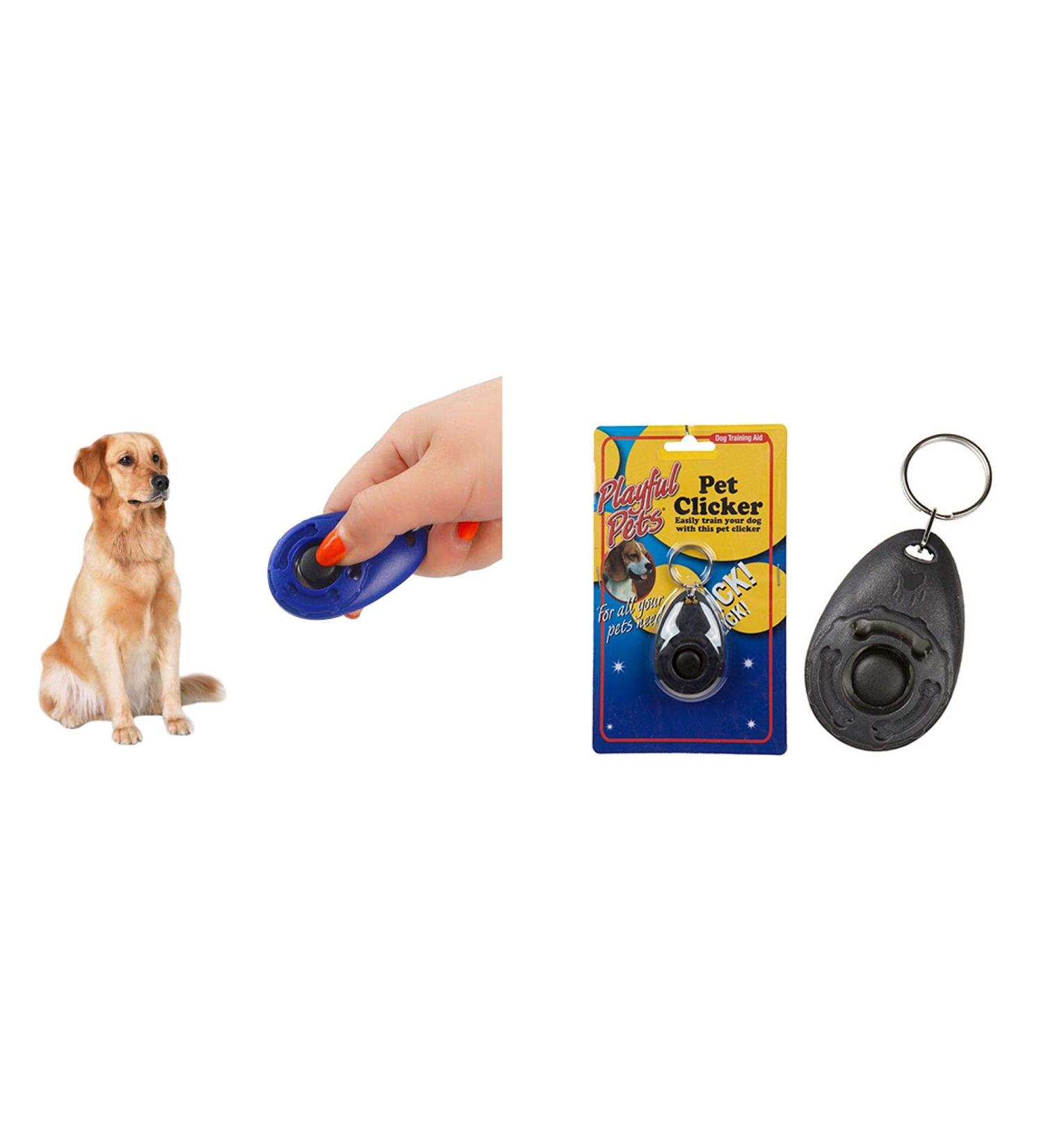 PMS DOG TRAINING CLICKER ON KEY RING ON SLIDE ON CARD