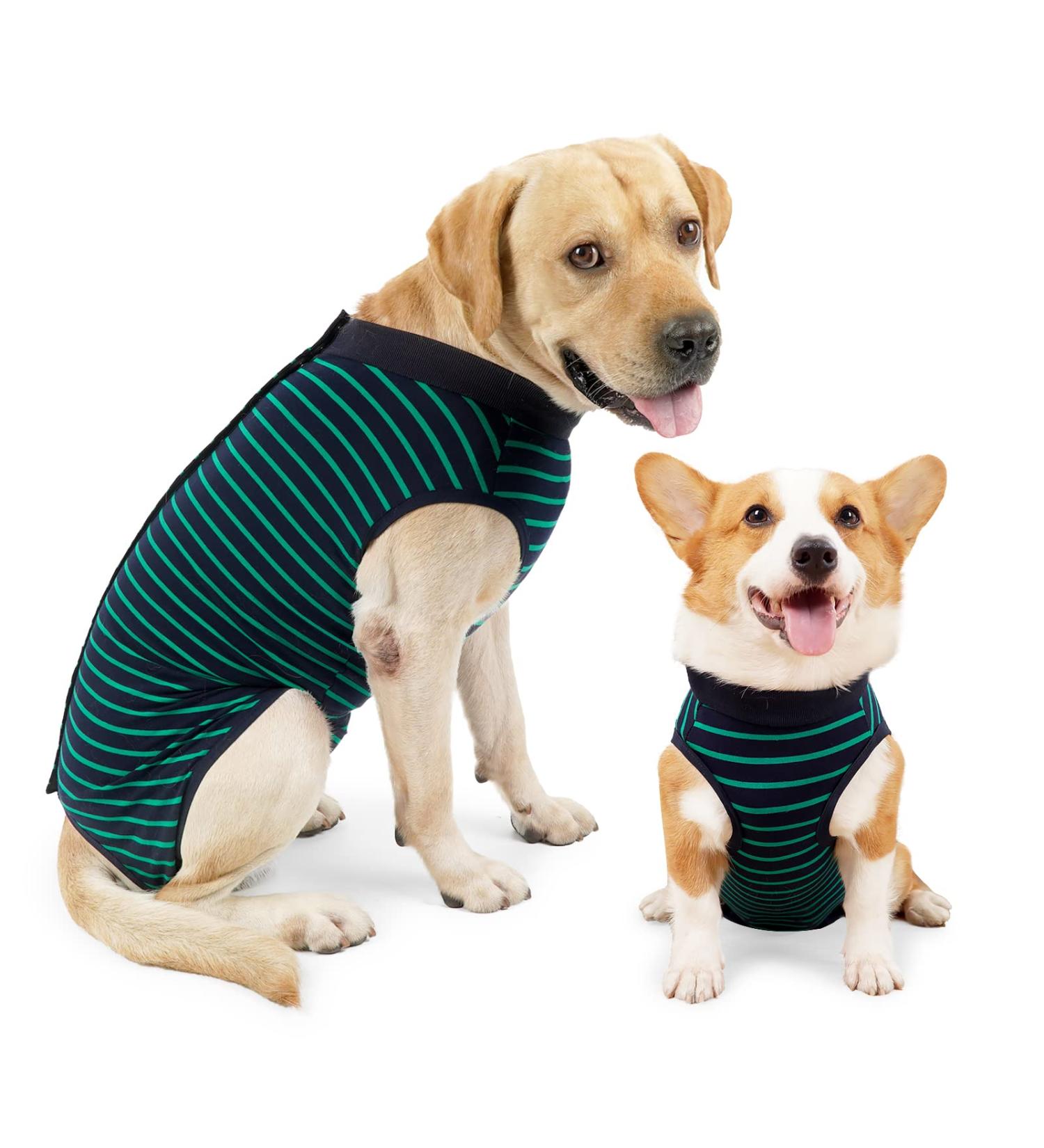 Shop Lianzimau Post-Op Dog Body Suit - Protective Surgical Shirt for Male Dogs - XXXL Green (1 Pack) - Ideal After Castration & Surgery - Buy Online on GoSupps.com