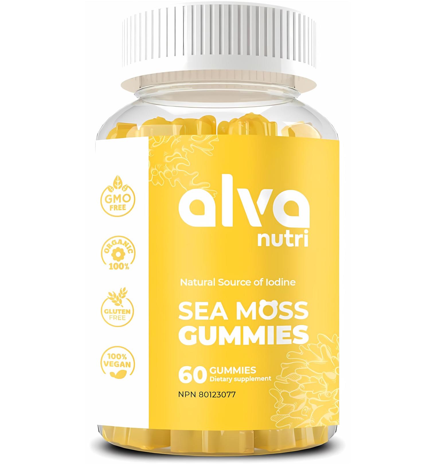 Sea Moss Gummies Enrich with Bladderwrack & Burdock Root Powerful Anitoxidant Supplement from Natural Source of Iodine Support Thyroid and Degestive Health- Non GMO Vegan Glutan Free 60 Count - Buy Online on GoSupps.com