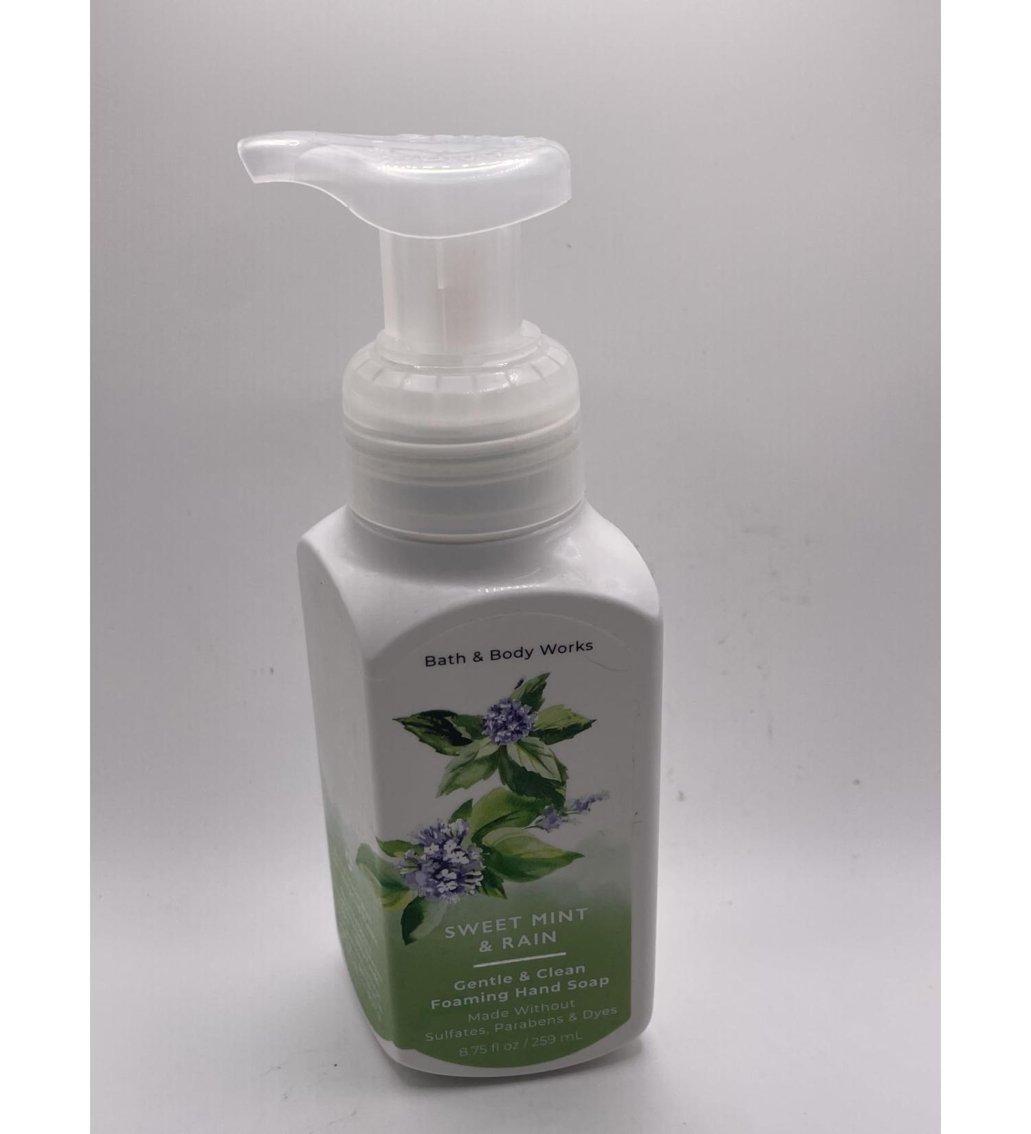 Sweet Mint Rain Gentle Foaming Hand Soap 8.75 Ounce Wash Pump Bottle