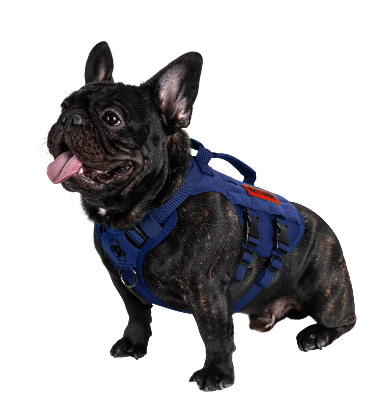 Oneigris No-Pull Dog Harness - Ultra Breathable Aire Mesh Adjustable Safety Vest for Large/Medium Dogs - Blue XS (Neck: 28-43cm Breast: 38-56cm) - 2 Handles - Buy Online on GoSupps.com