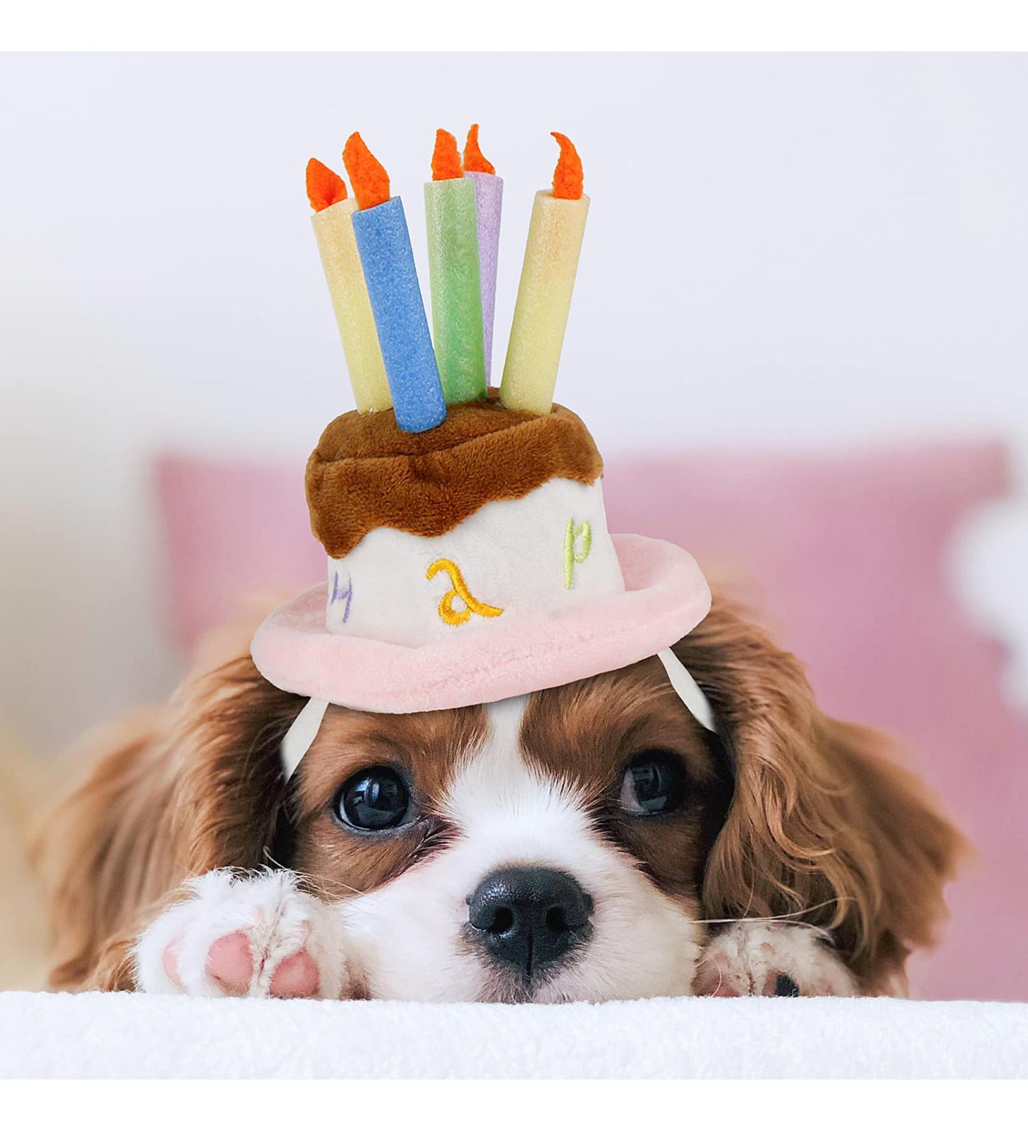 LESYPET Dog Birthday Hat  Pet Birthday Cake Hat with Candle for Dog Cat Party Costume  Pink S Birthday Hat-S - Buy Online on GoSupps.com