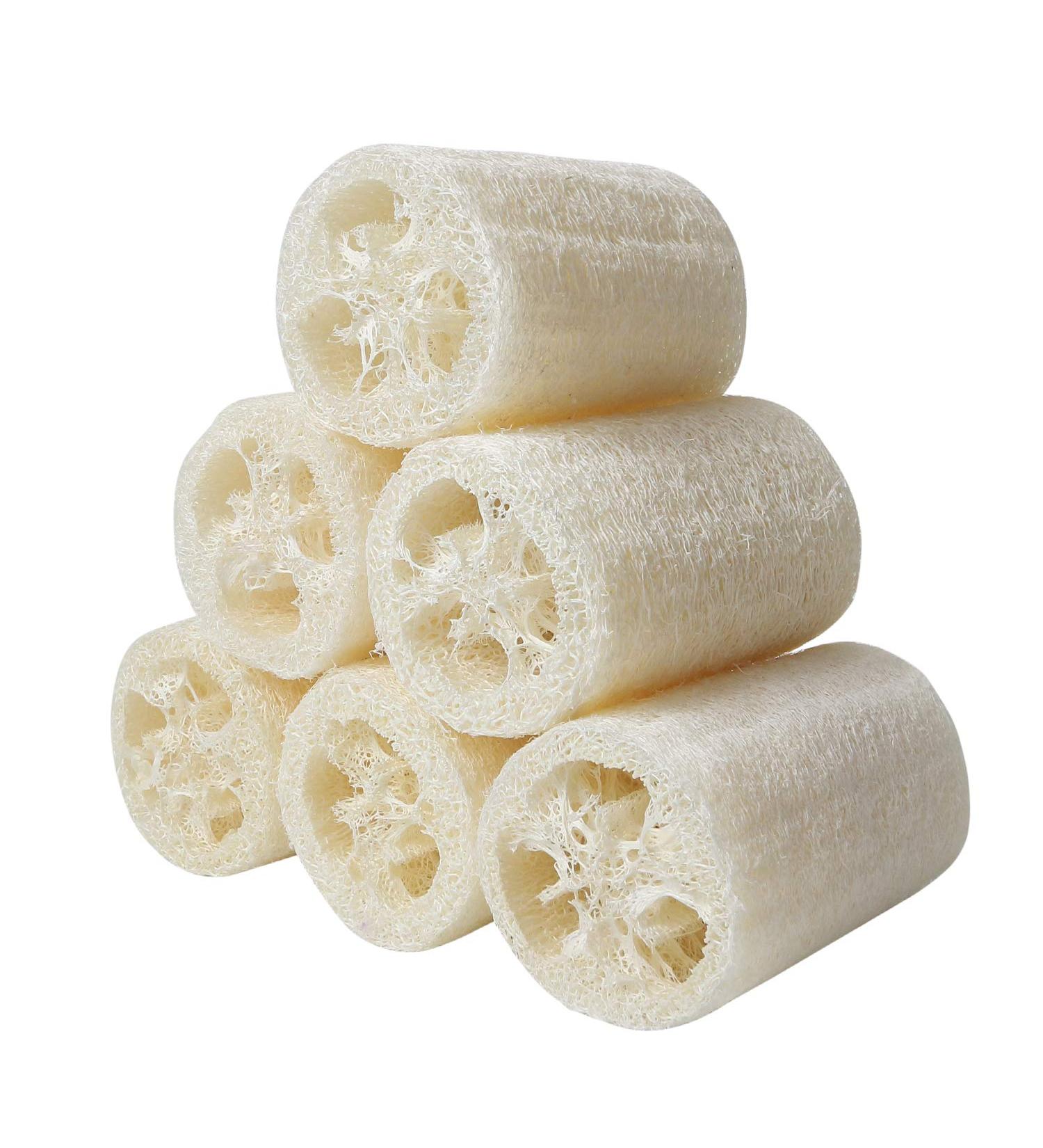 6 Pieces Natural Luffa Sponge - 10cm Exfoliating Cucumbers for Bath & Shower - Premium Dead Skin Remover - Ideal for Personal Hygiene & Kitchen Use - Buy Online on GoSupps.com