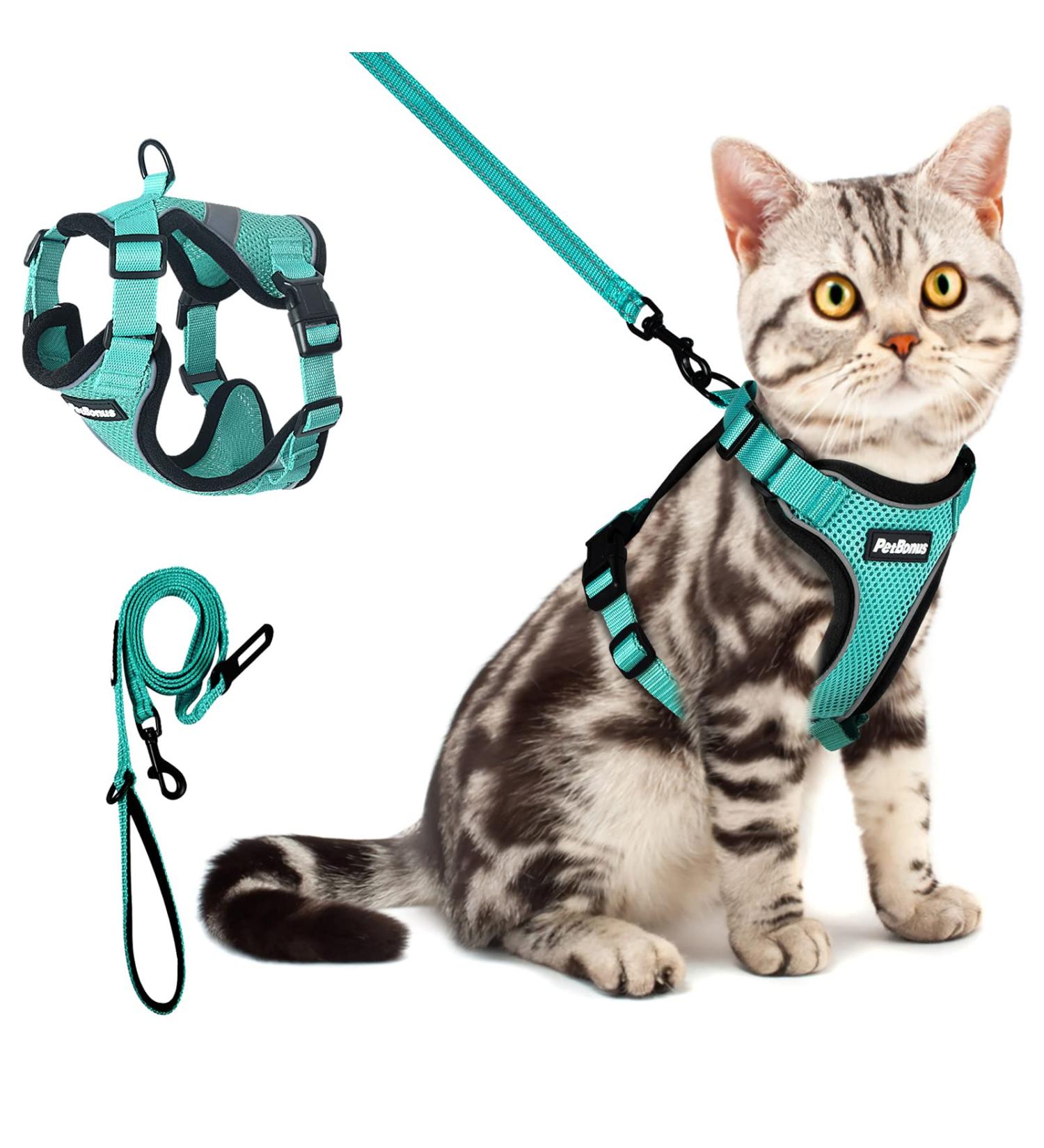 PetBonus Adjustable Cat Harness & Lead Set - Escape Proof Kitten Vest - Breathable & Reflective - Turquoise (Small) - Buy Online on GoSupps.com