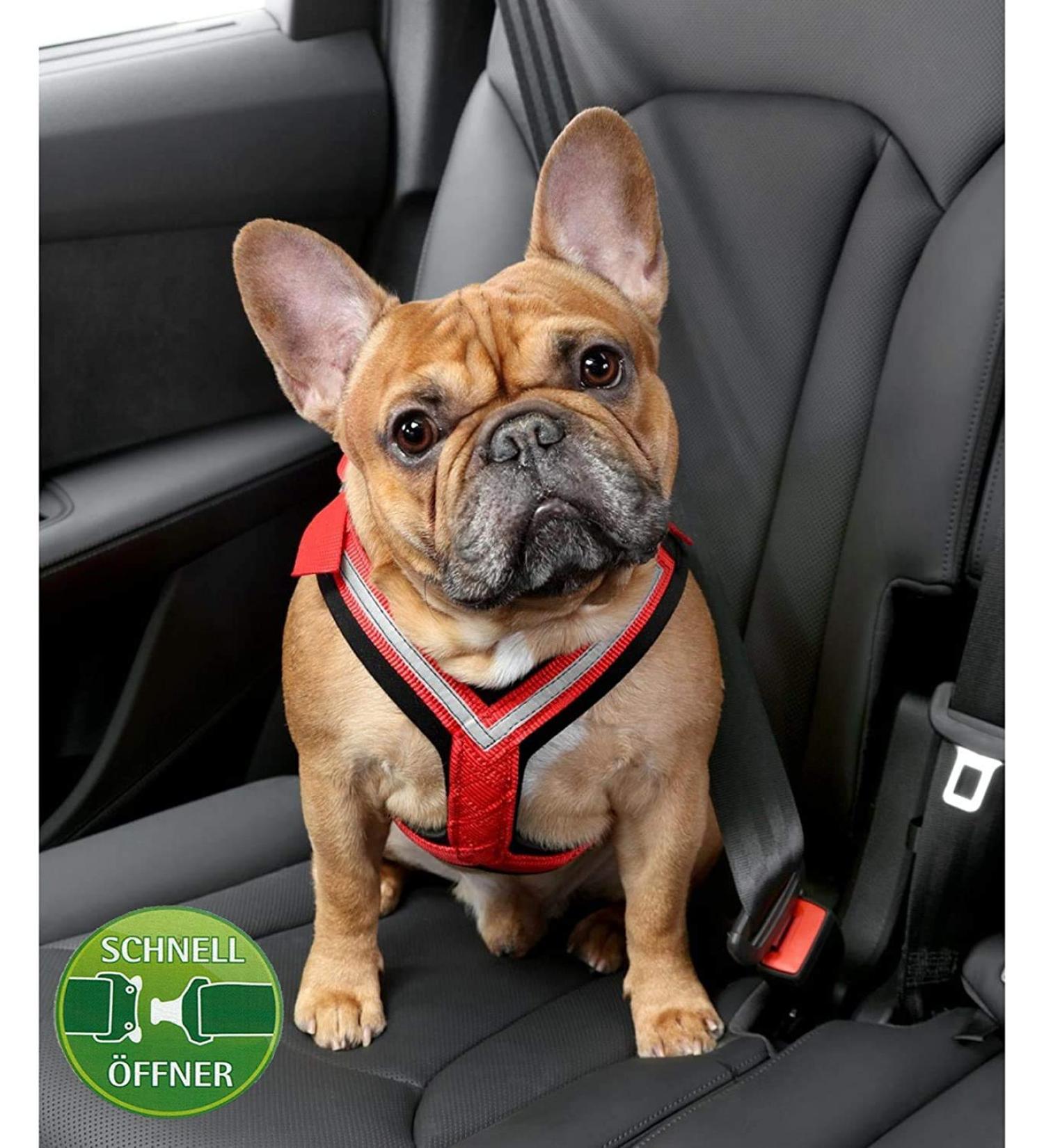 Kleinmetall 15390100 Dog Safety Belts S