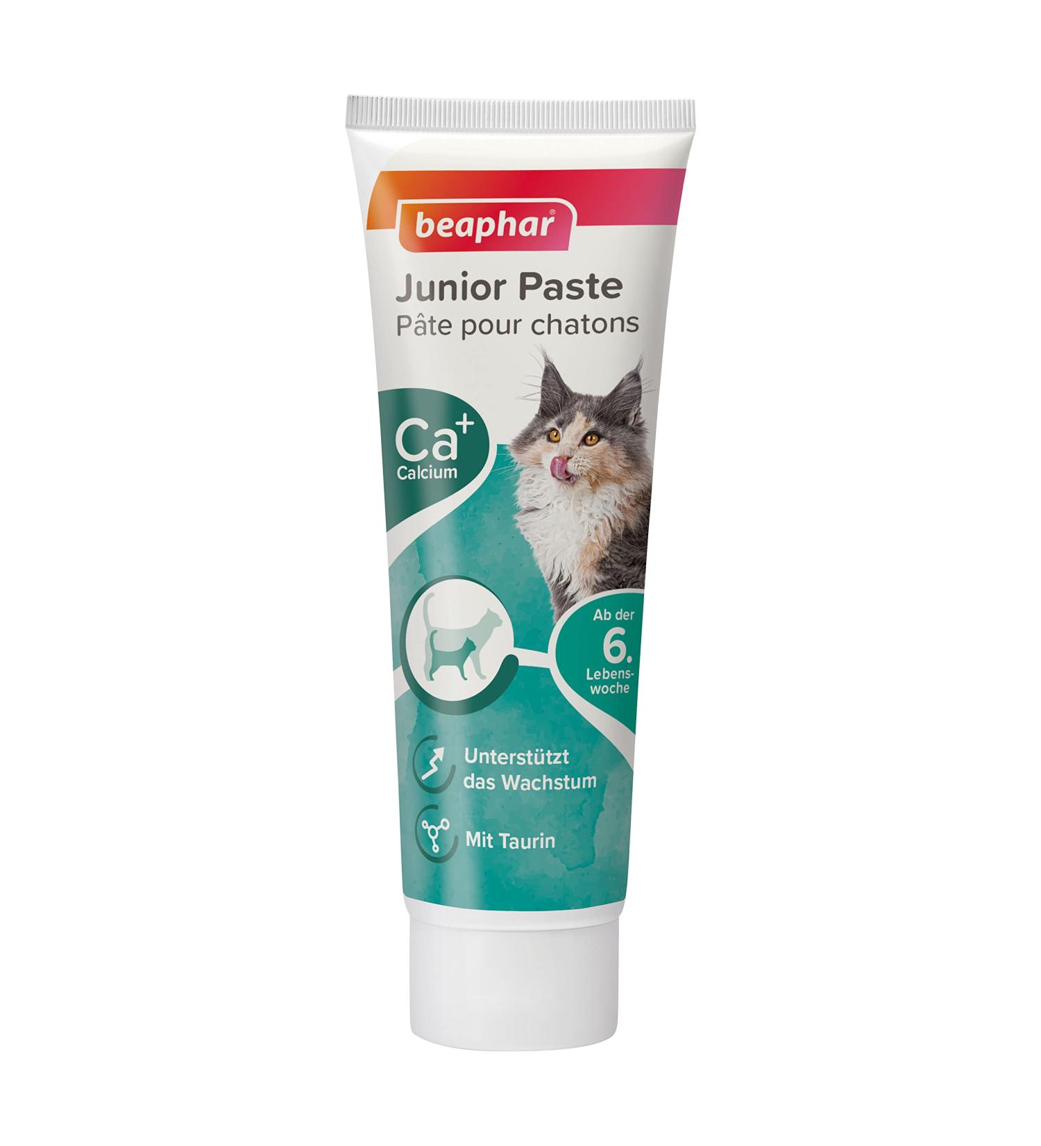 BEAPHAR Junior Paste for Cats (6 Weeks+) | With Calcium & Taurine | Supports Growth | 0% Added Sugar | 100g - Buy Online Now! - Buy Online on GoSupps.com