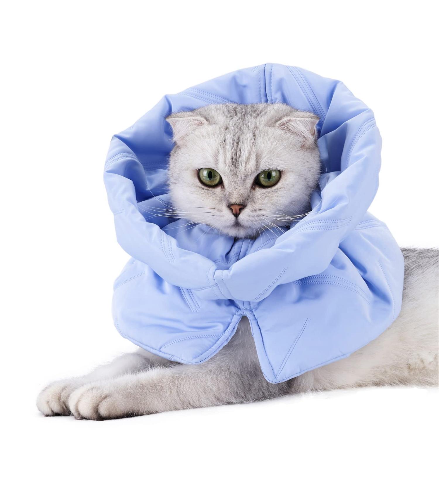 Skymoon Soft Cat Dog Cone Collar | Pet Recovery Comfort Cone Collar - Small Light Blue - Buy Online on GoSupps.com