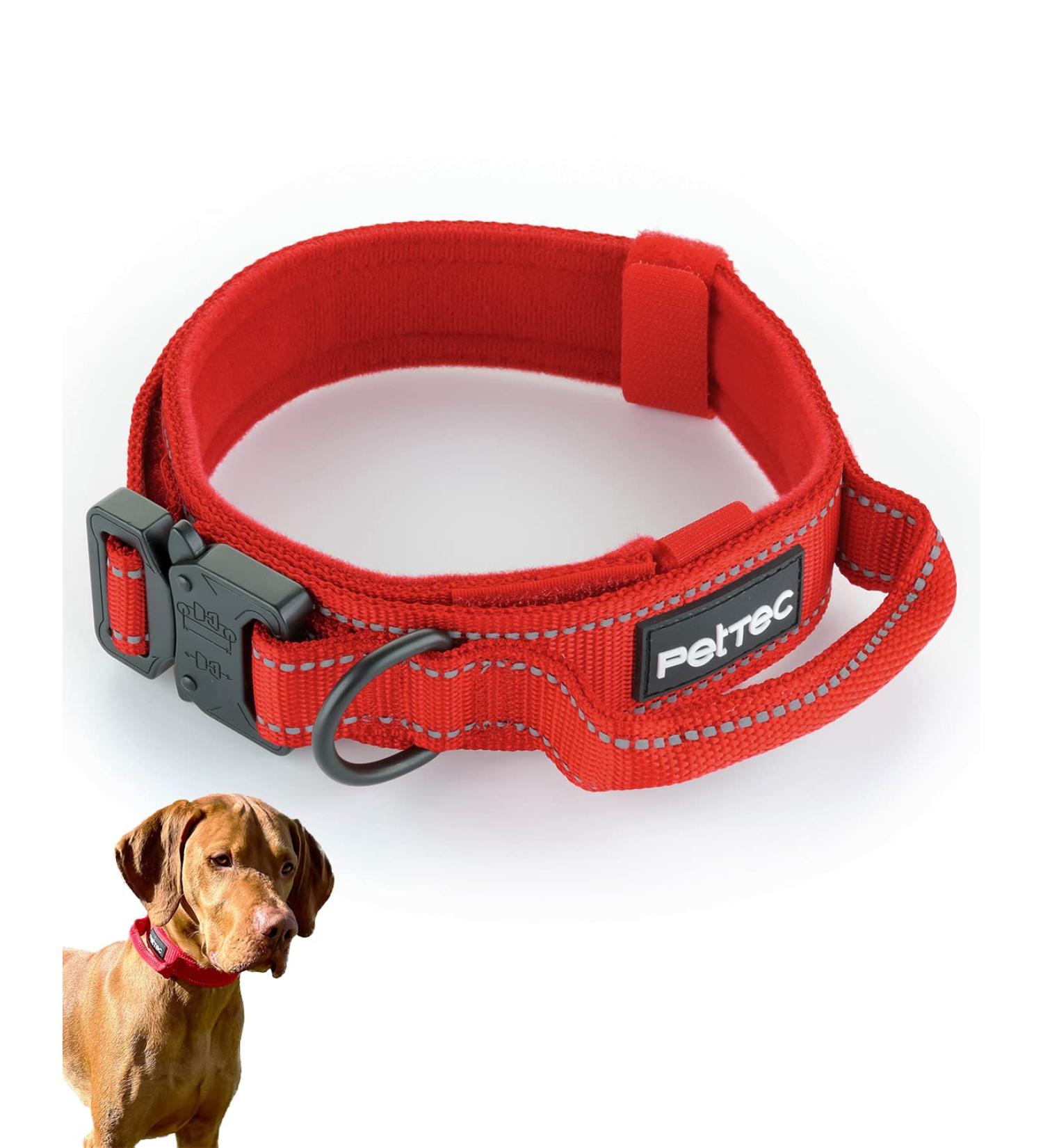 Pettec Neoprene & Nylon Dog Collar with Handle | Softly Padded Water-Repellent Adjustable for Small & Large Dogs | Red (M: 43-52 cm) - Buy Online on GoSupps.com