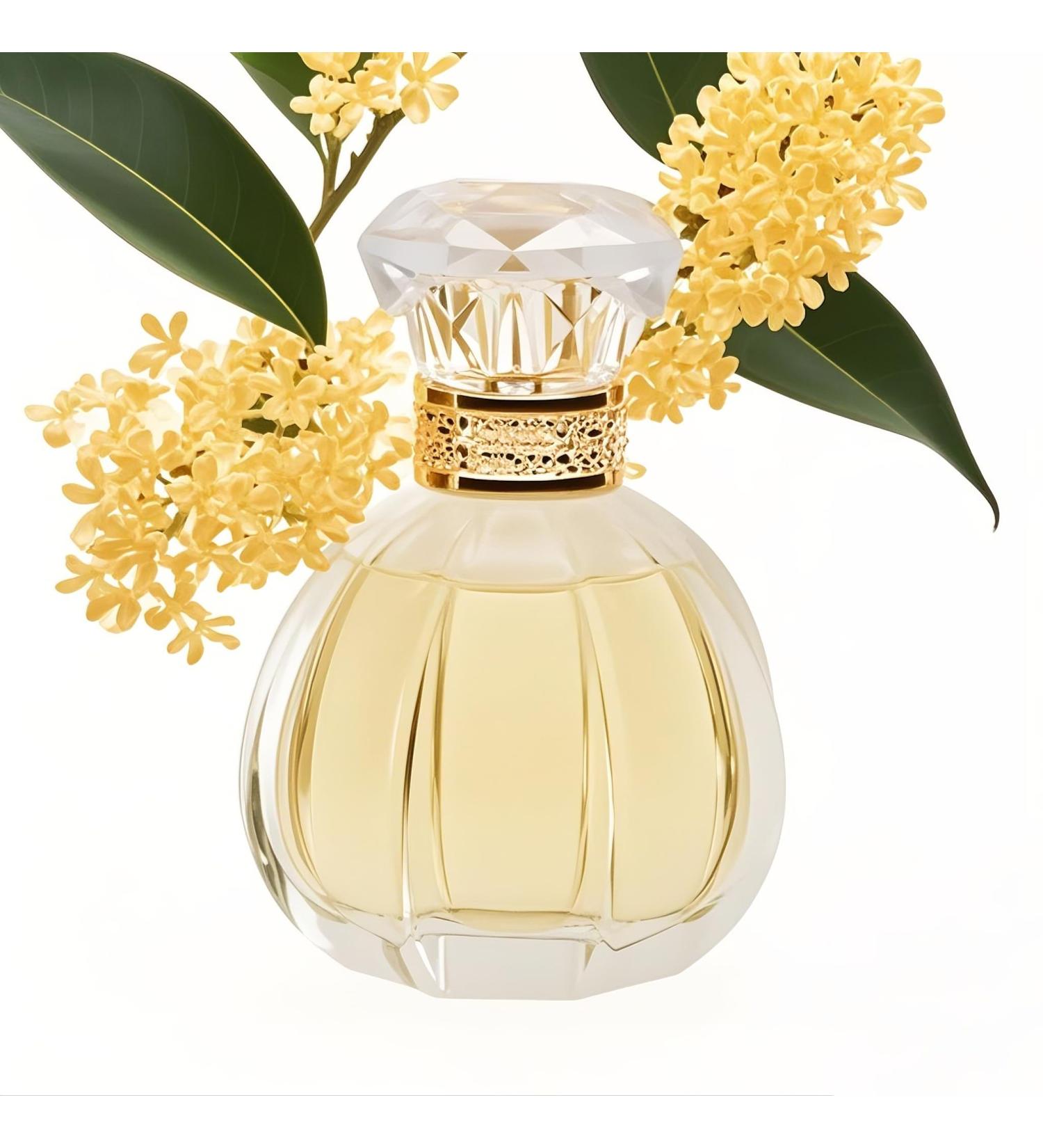 Eau de Parfum Spray Eau Fraiche Eau de Toilette for Women Perfumery Sweet Scent and Light Flavor Relax Meditation Be At Peace Mentally Soothe The Nerves 1.7 Ounce 50ml (Osmanthus) - Buy Online on GoSupps.com