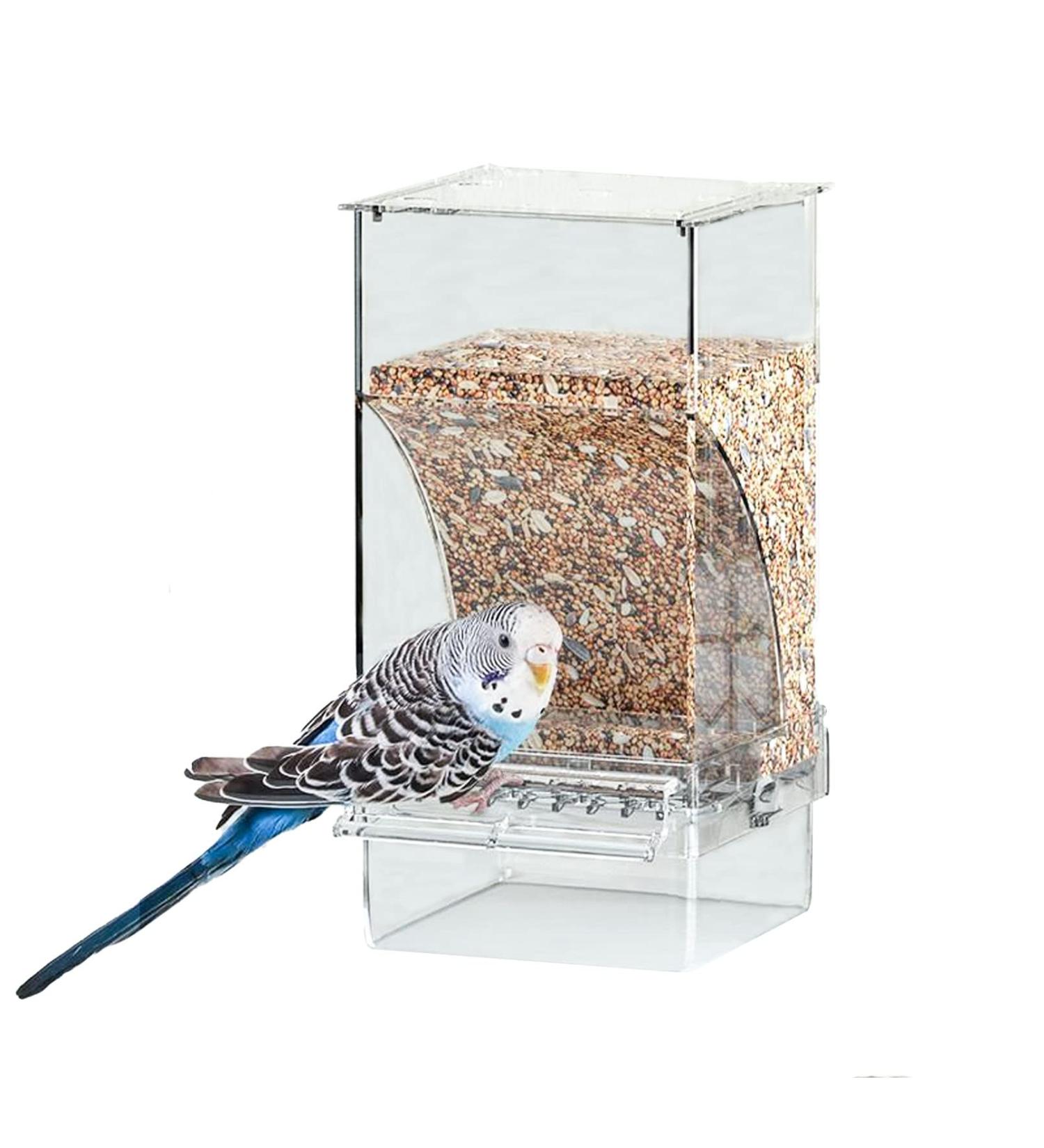 Parrot Automatic Feeder - No Mess Bird Feeder Foraging Station | Acrylic Container for Cockatoo, Canary, Love Bird | Transparent Design - Buy Online on GoSupps.com