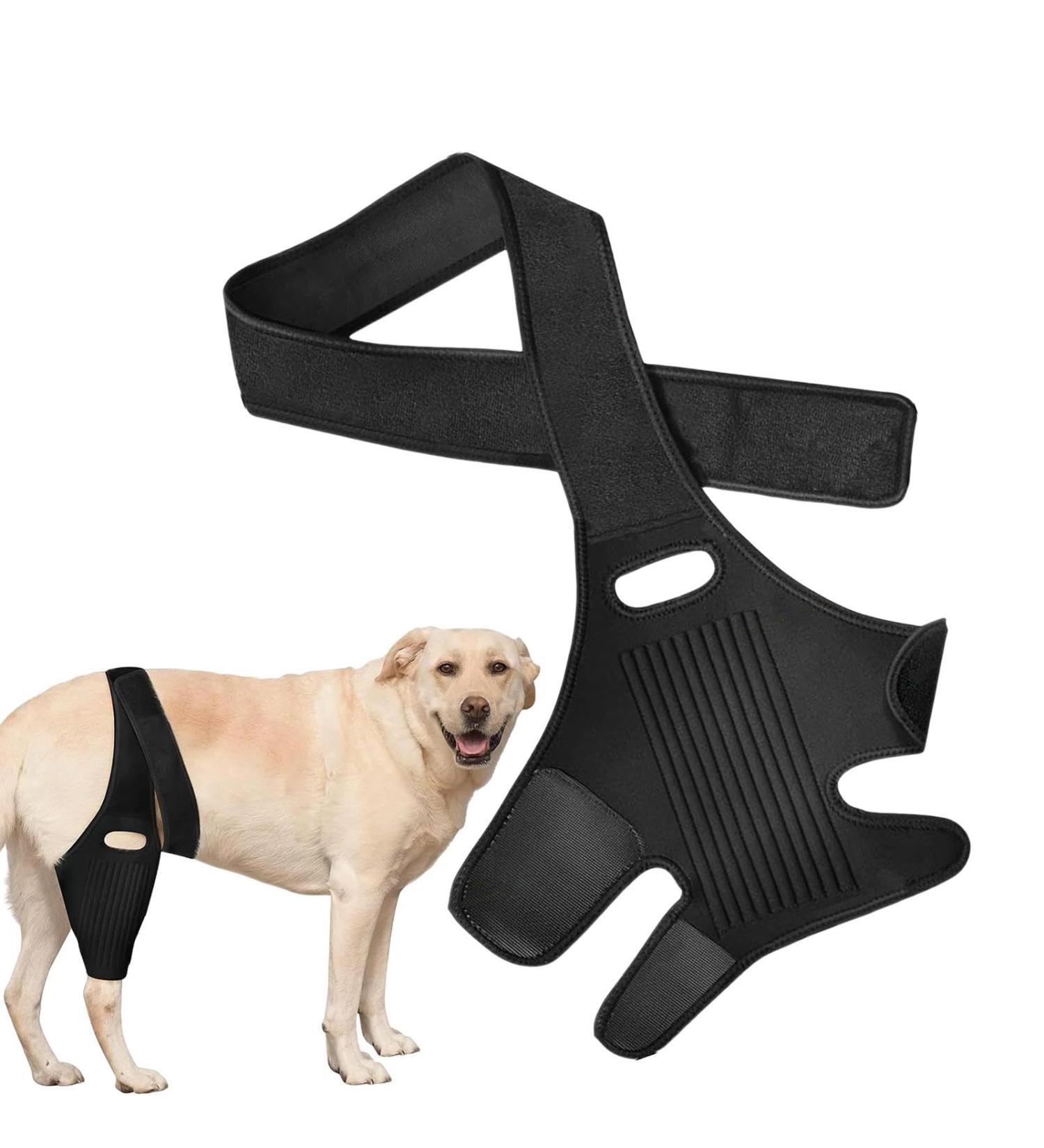 Dog Knee Brace | Dog Leg Protector with 10 Support Sticks | Breathable Dog Hip Brace Rear Leg Support Comfortable for Senior and Disabled Dogs - Buy Online on GoSupps.com