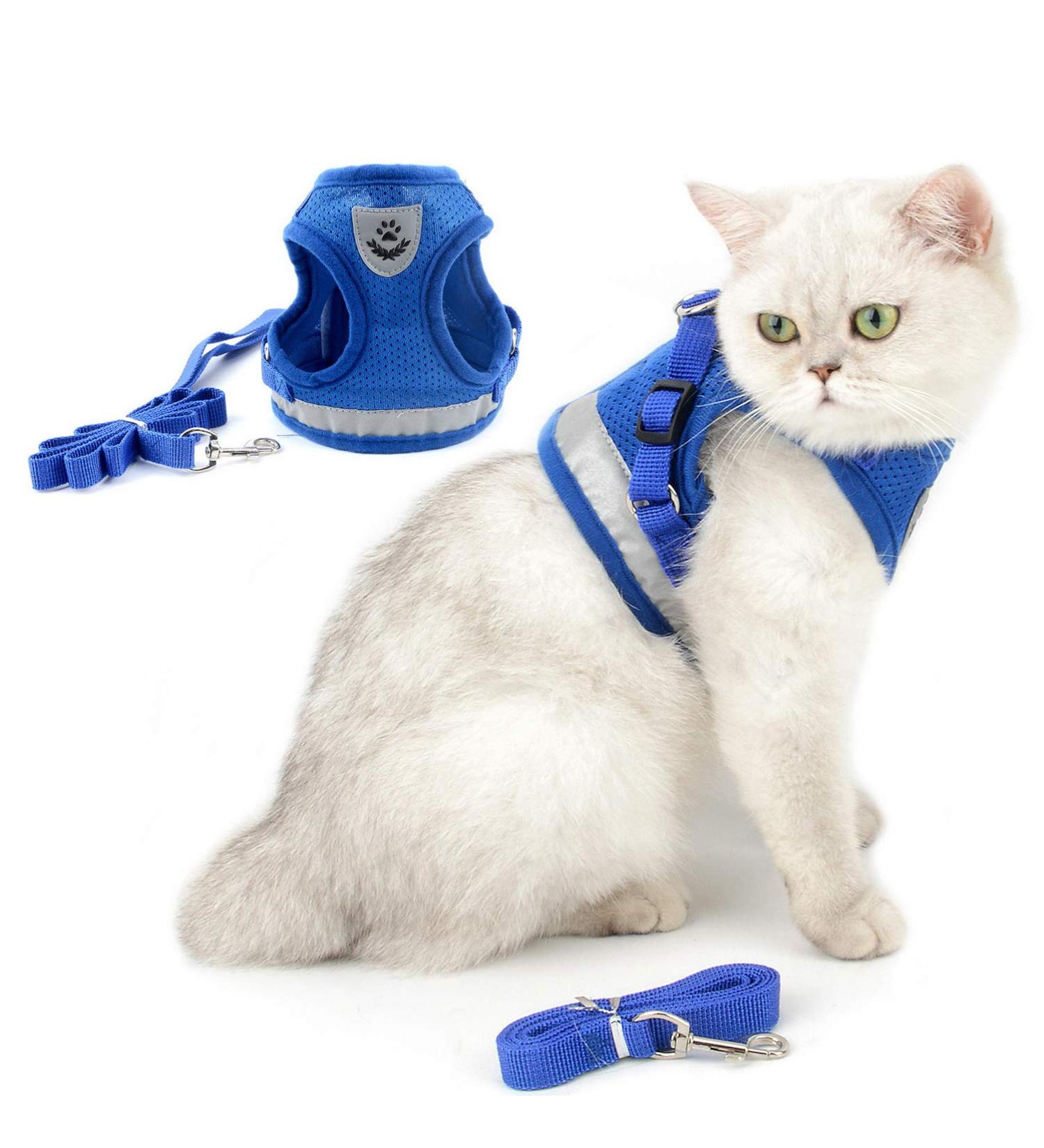Ranphy Cat Dishes & Harness Set - Breakproof Leash Soft Fabric for Small Cats & Puppies - XS Blue - International Shipping - Buy Online on GoSupps.com