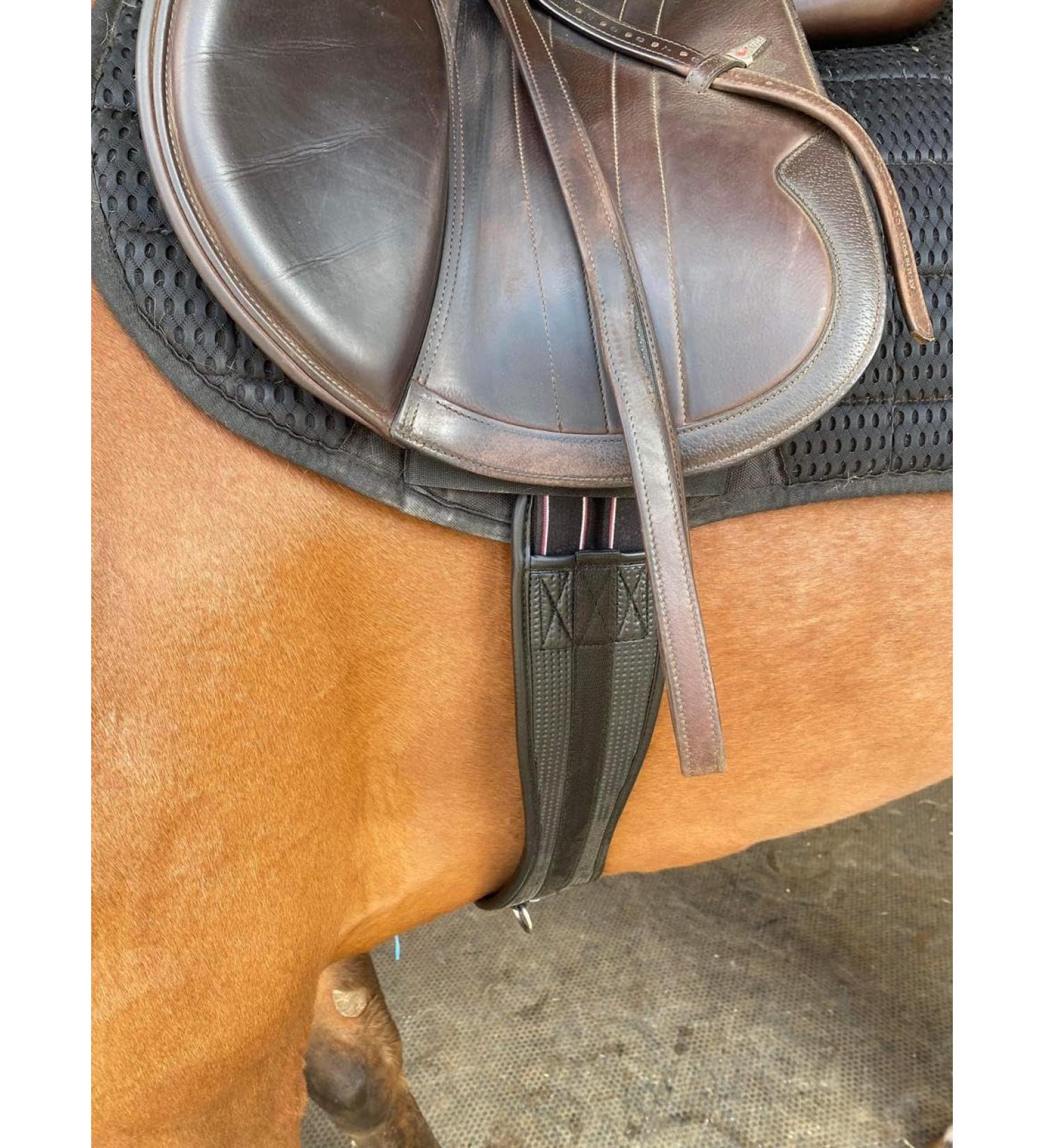 Preto Horse Synthetic Girth 50 (125cm) - Comfort Waffle Neoprene Equine Girth with Anti-Chafe Elasticated End - Black Anatomical PVC Jumping Cushioning Girth - Buy Online on GoSupps.com