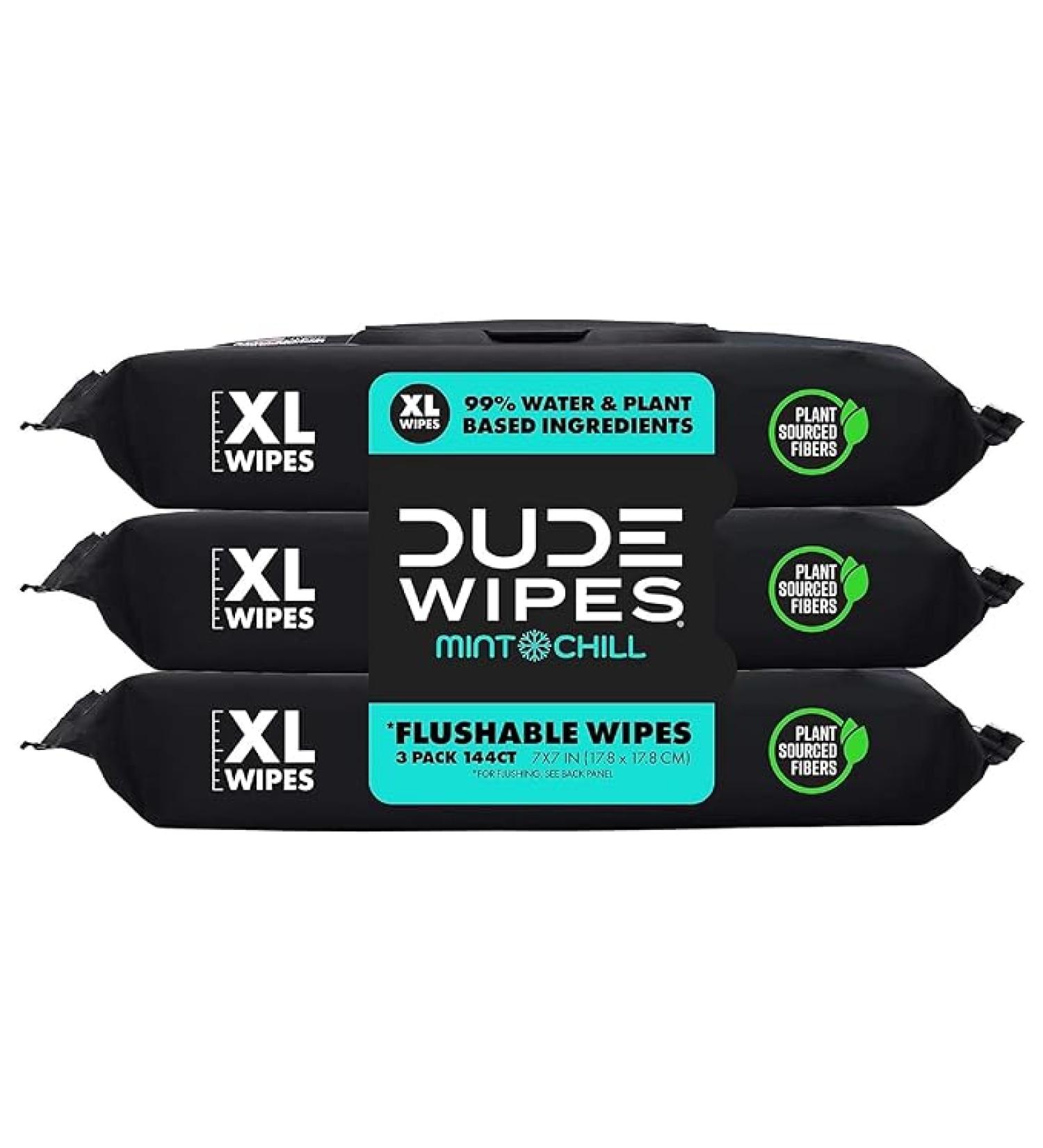 Dude Flushable Wet Wipes 3-Pack - Mint Chill - 144 Count - Vitamin-E  Aloe  Eucalyptus & Tea Tree Oils - Septic Safe - Buy Online on GoSupps.com