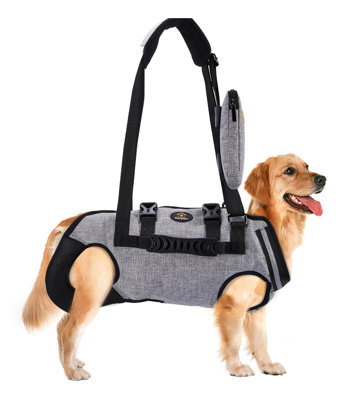 Ownpets Adjustable Lifting Dishes for Large Dogs | Waterproof Dog Carrier Bag with Shoulder Strap - XXXL - Buy Online on GoSupps.com