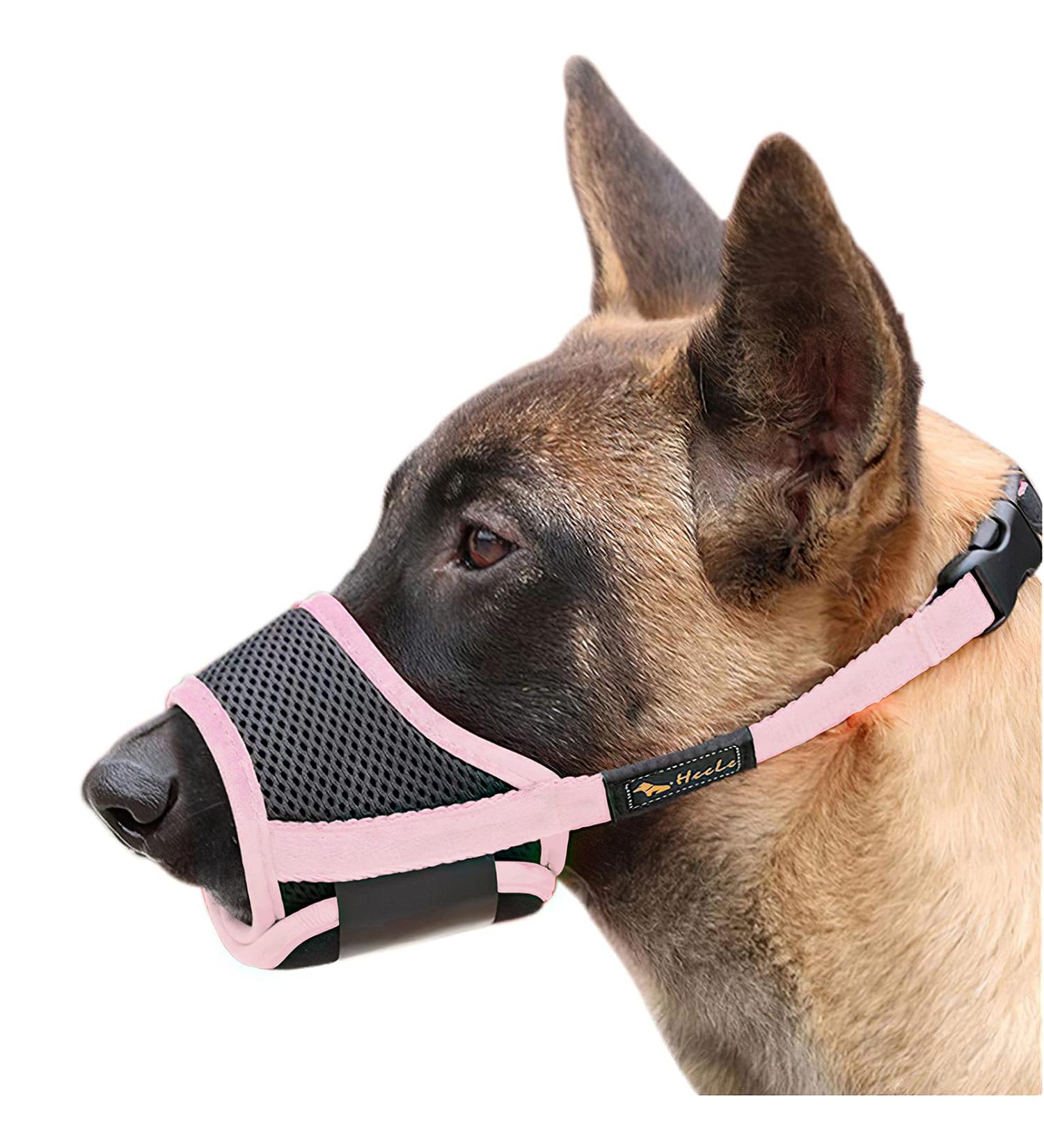 Adjustable Heele Nylon Dog Muzzle - Breathable & Safe for Small to Medium Dogs | Prevent Biting Chewing & Barking | Fast Shipping (XL Pink) - Buy Online on GoSupps.com
