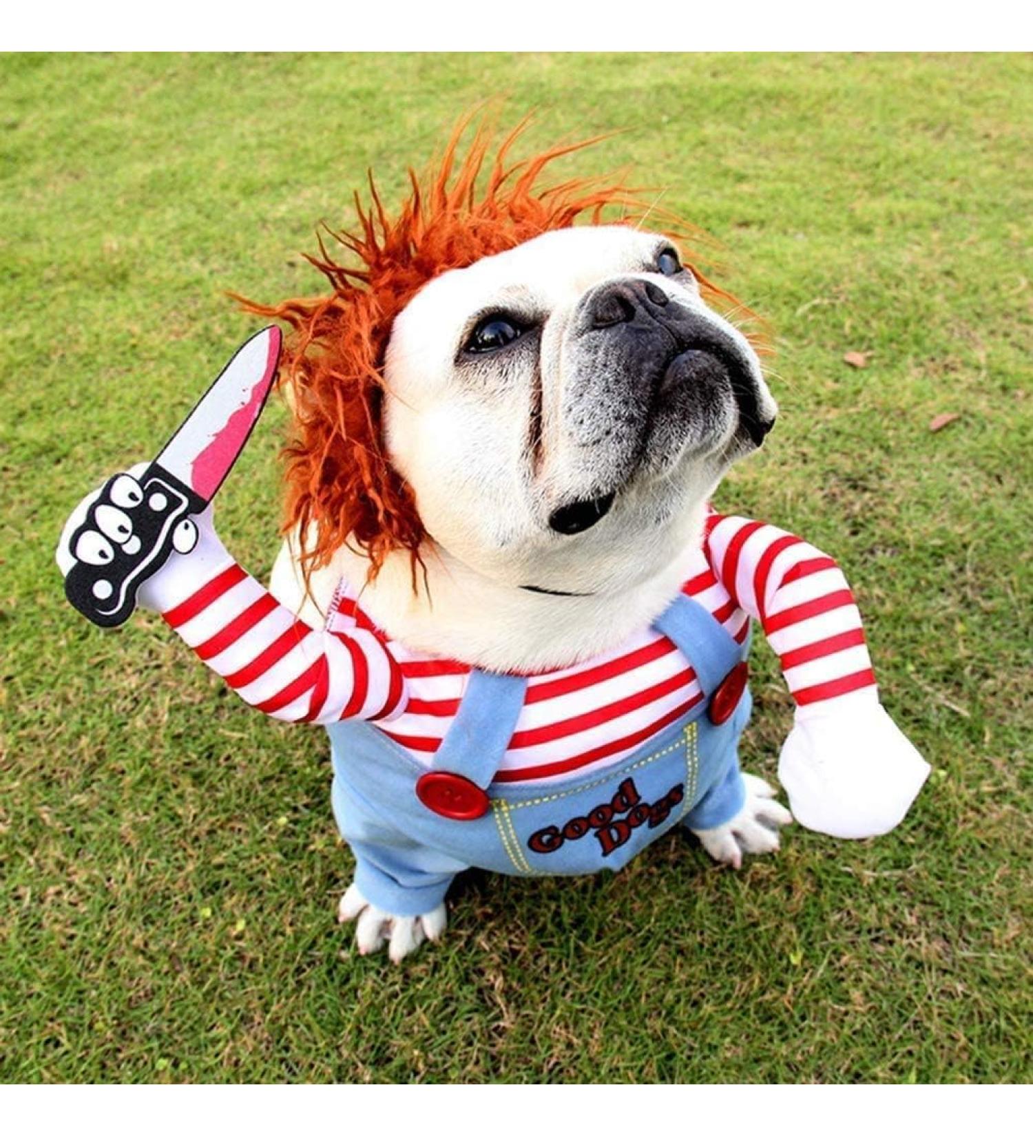 Yxcuidp Funny Dog Costume - Terrible Halloween & Christmas Pet Outfit Cosplay for Dogs Party Clothing with Hat - Buy Online on GoSupps.com