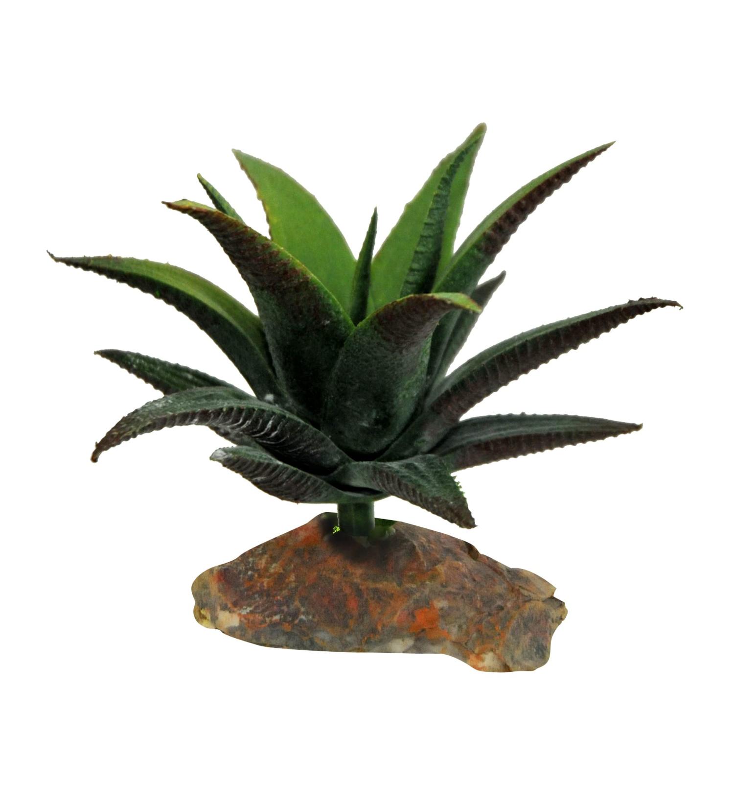 Lucky Reptile 64690 Succulent decoration for terrariums 140 g