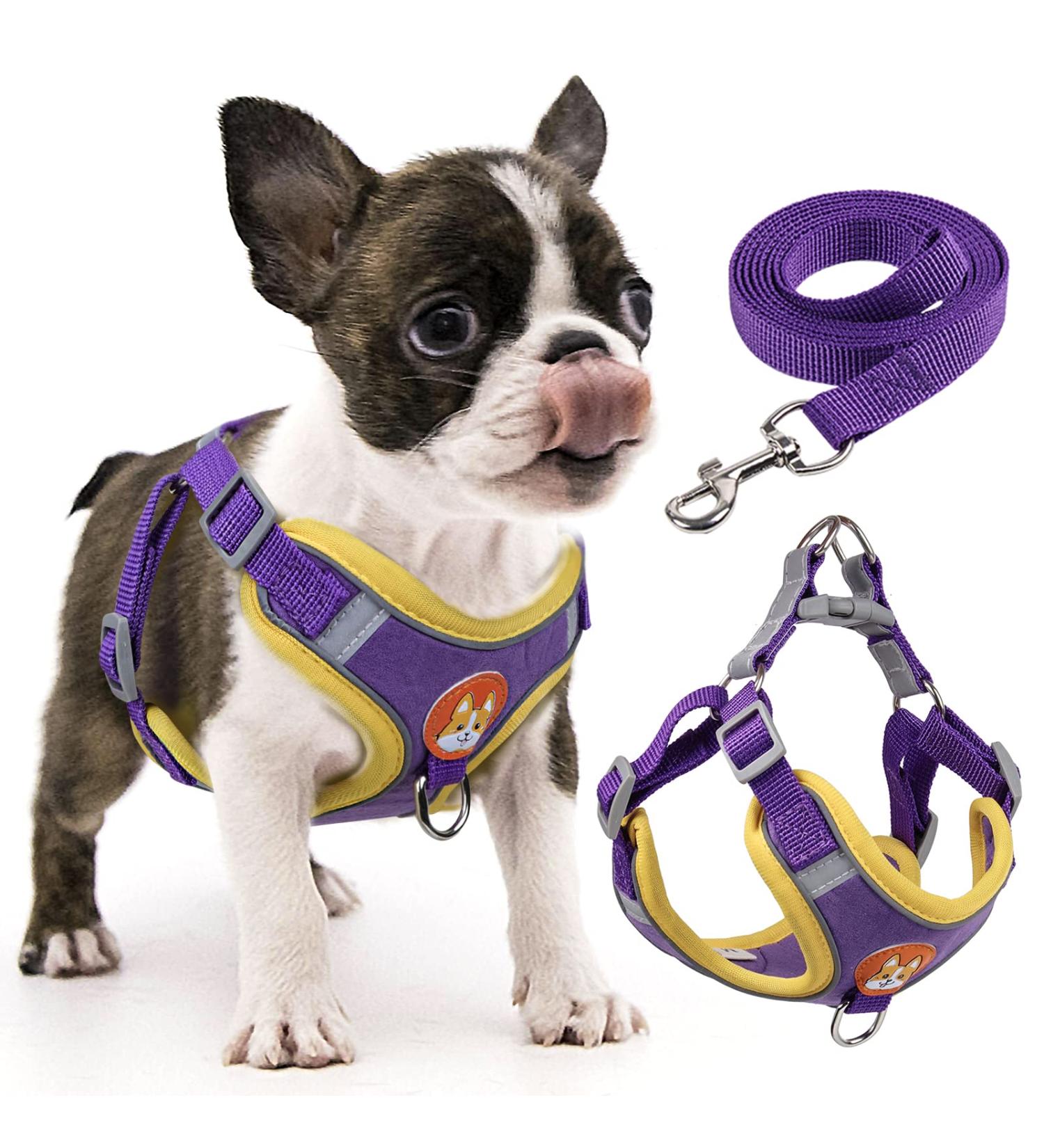 Rennaio No Pull Dog Harness & Adjustable Puppy Dishes Set - Ultra Comfortable Leash for Small & Medium Dogs (Purple Size S) - Buy Online on GoSupps.com