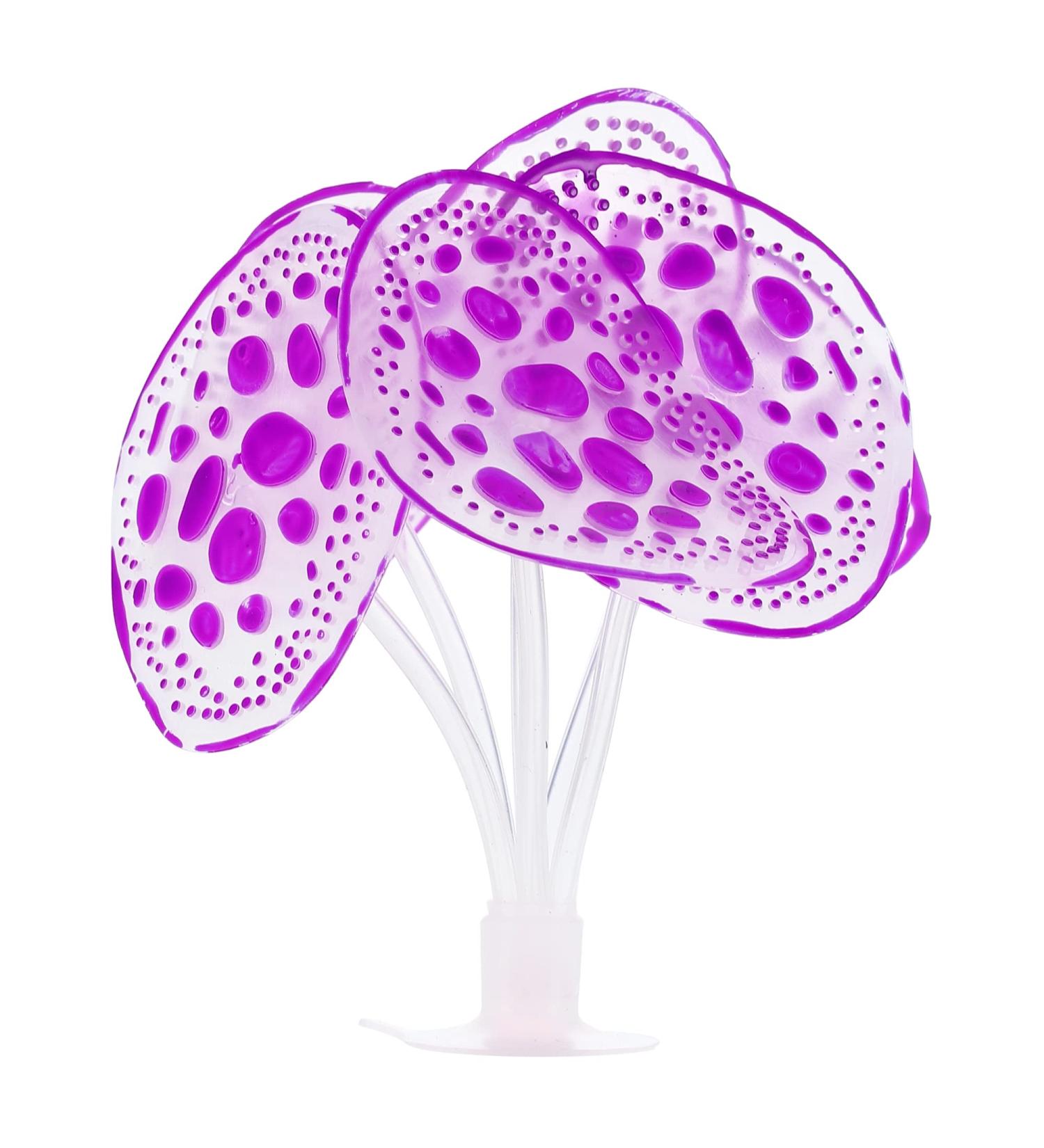 Buy VOCOSTE Silicone Glowing Aquarium Simulation Coral - Purple Violet with Suction Cup for International Shipping - Buy Online on GoSupps.com