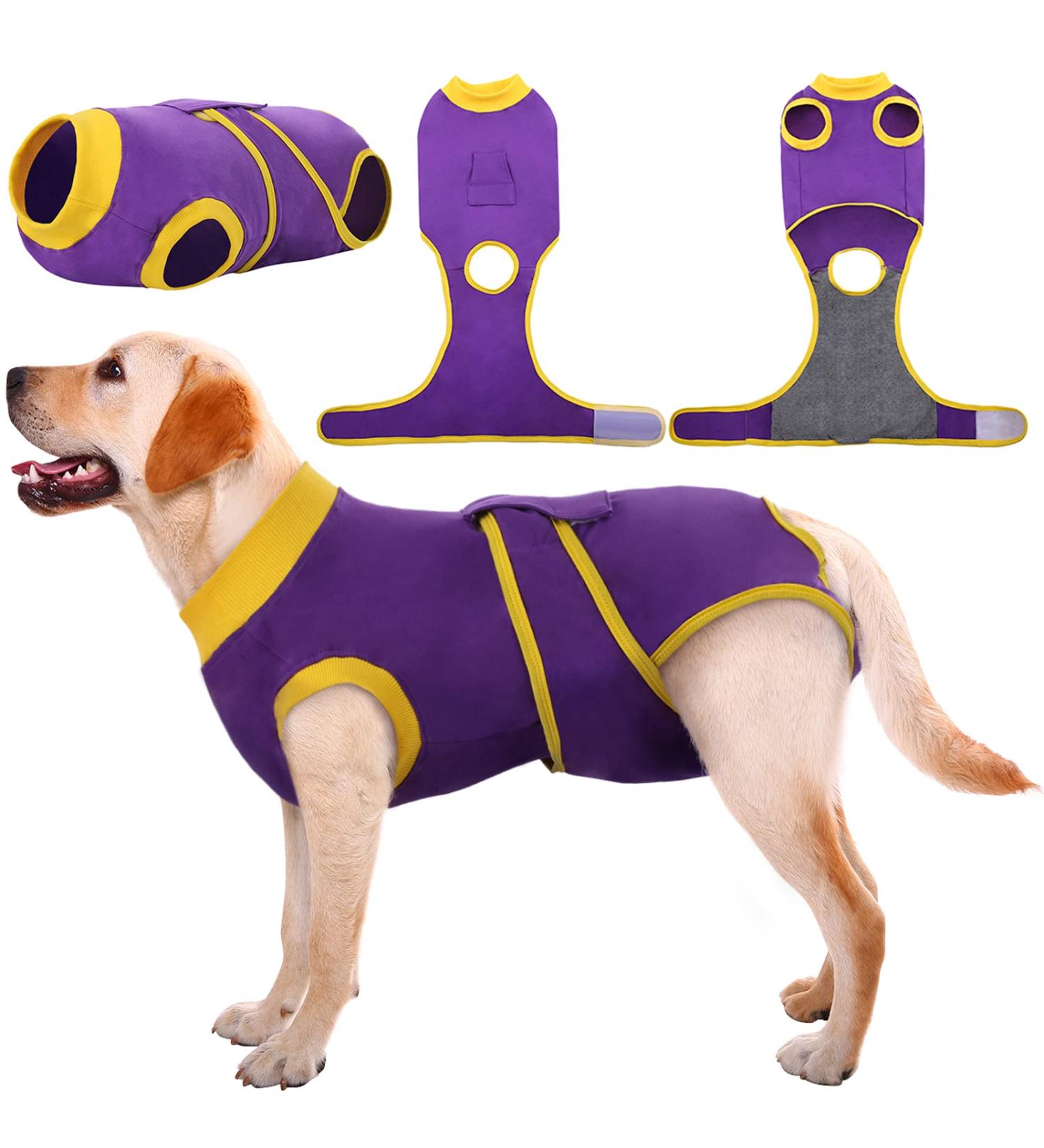 Kuoser Dog Body After Surgery - Breathable Recovery Suit for Male & Female Dogs | Leakage Protection & Anti-Licking | Purple L (1 Pack) - Buy Online on GoSupps.com