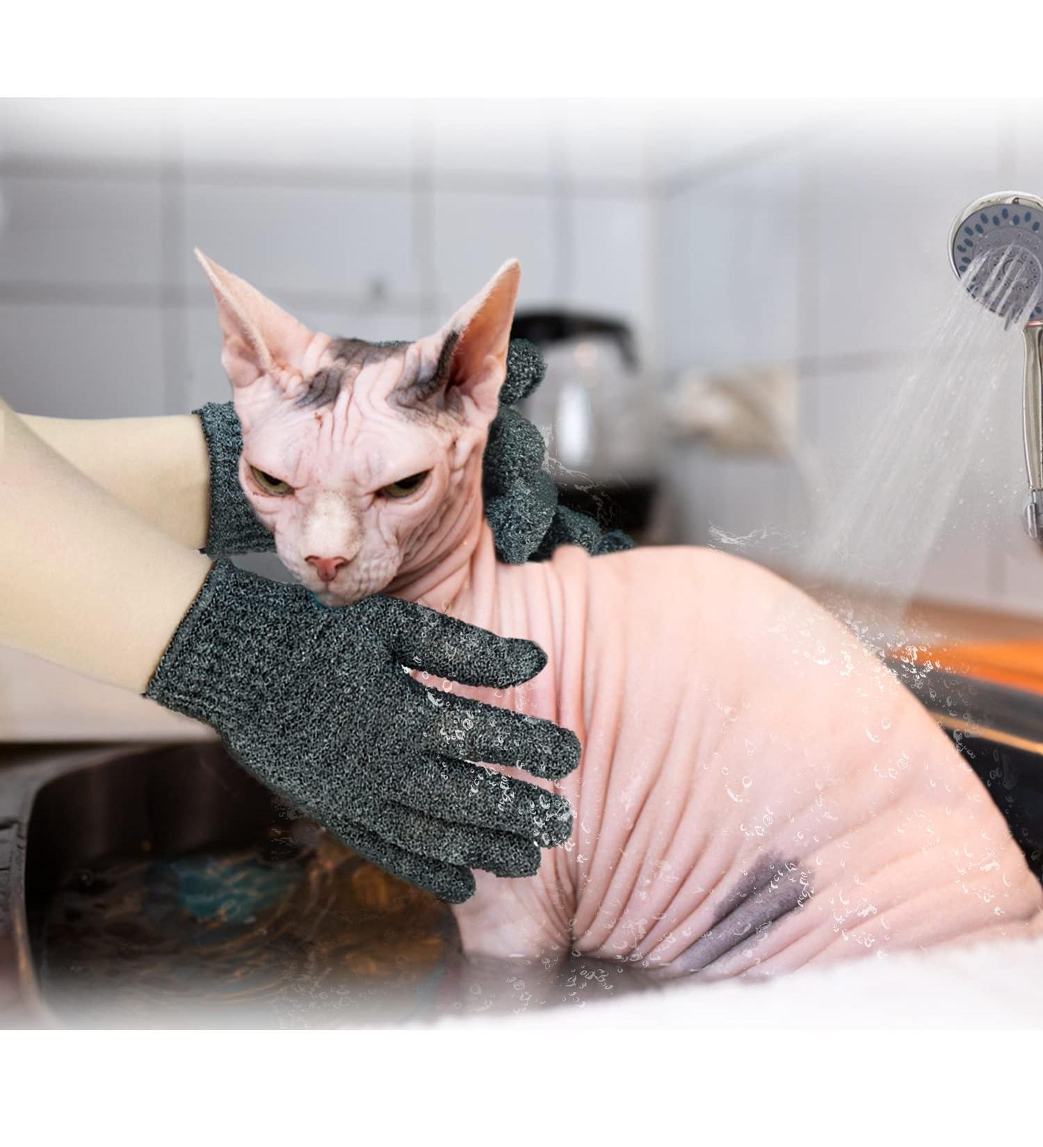 6 Pack Sphynx Cat Bath Gloves - Exfoliating Glove for Hairless Cats | Sphynx Shower Body Scrub - Buy Online on GoSupps.com