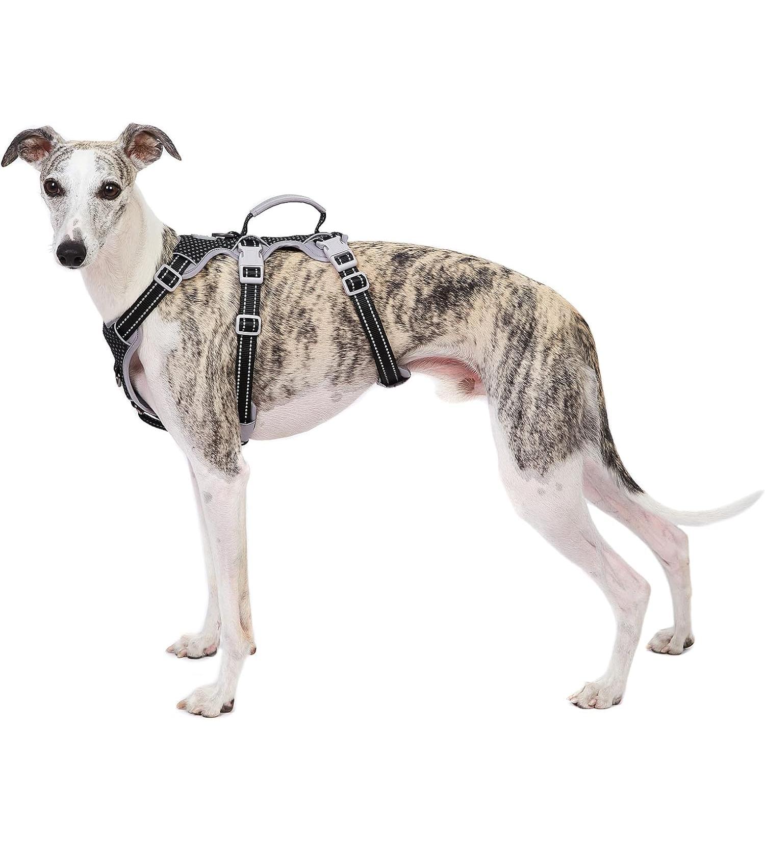 Buy Huntboo Breakproof Dog Harness - Reflective Full Body Vest with Handle Adjustable Soft Padding for Large Dogs (Black XL) - Durable & Comfortable - Buy Online on GoSupps.com