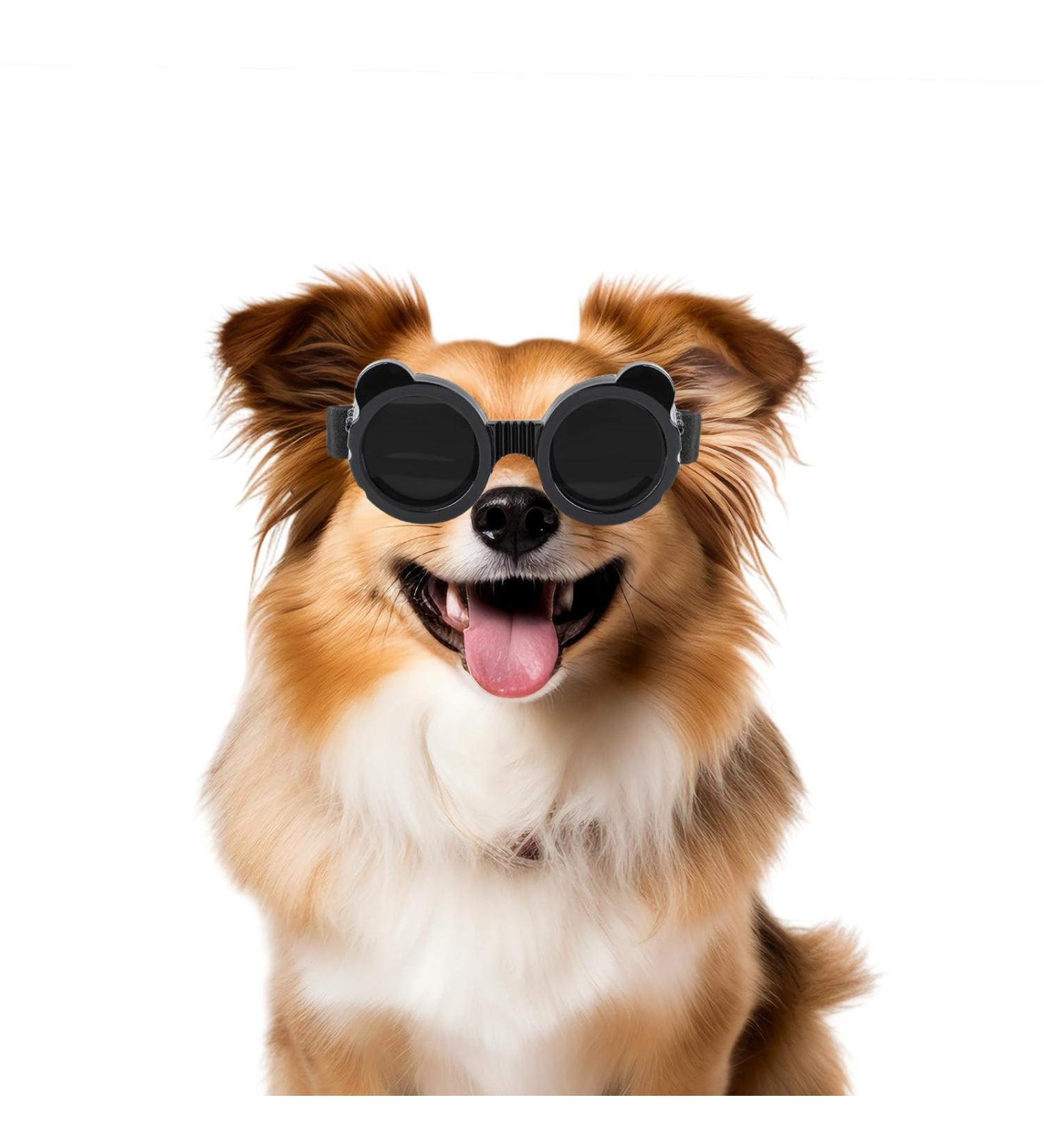 Stylish Panda UV Glasses for Small Dogs - Eye Protection & Windproof Cat Glasses - Buy Online on GoSupps.com