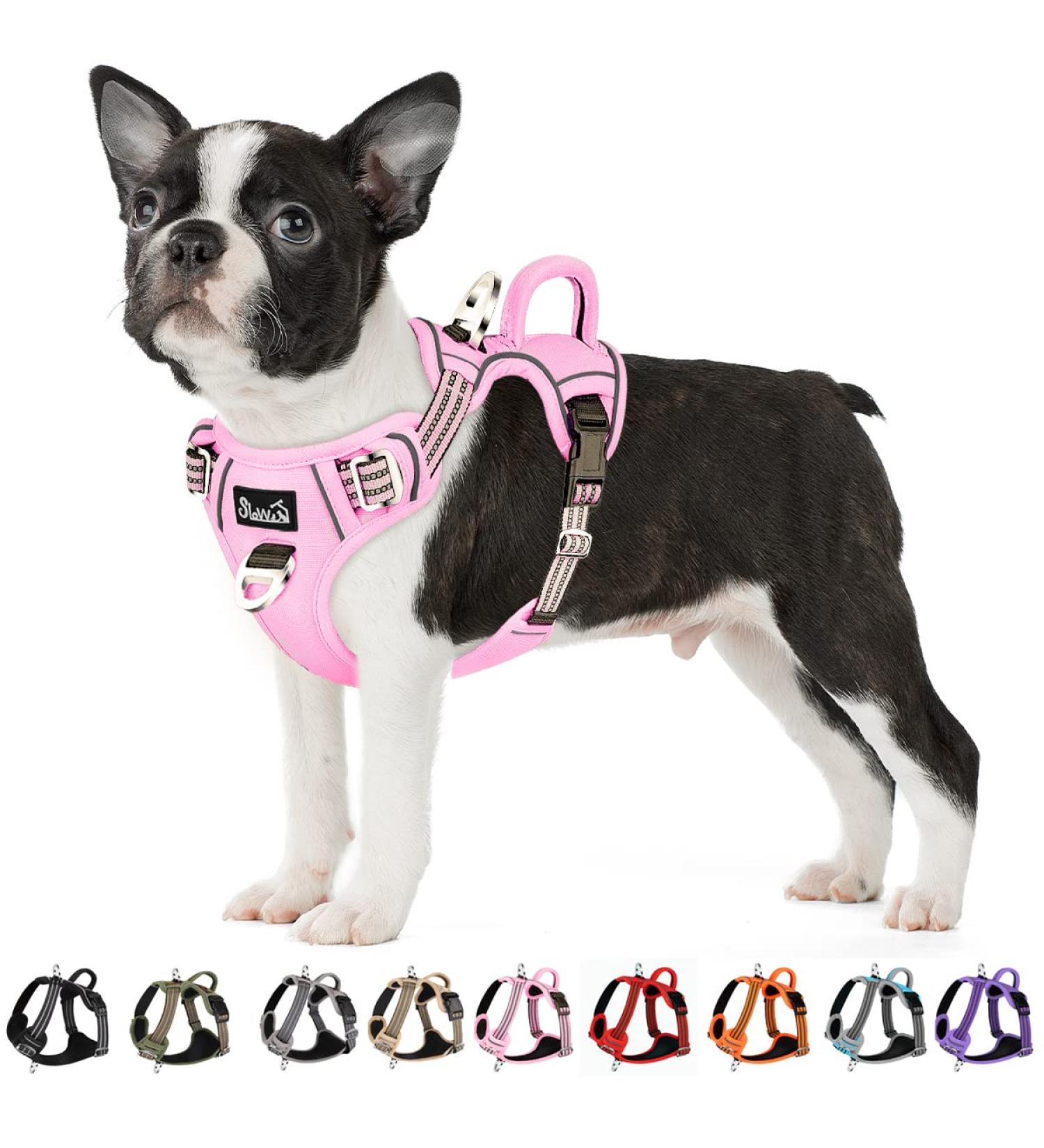 Buy Eyin Adjustable Dog Harness for Medium Dogs - Breathable Reflective Padded with Handle - Perfect for Training | Pink (M: Neck 37-50cm Chest 40-68cm) - Buy Online on GoSupps.com