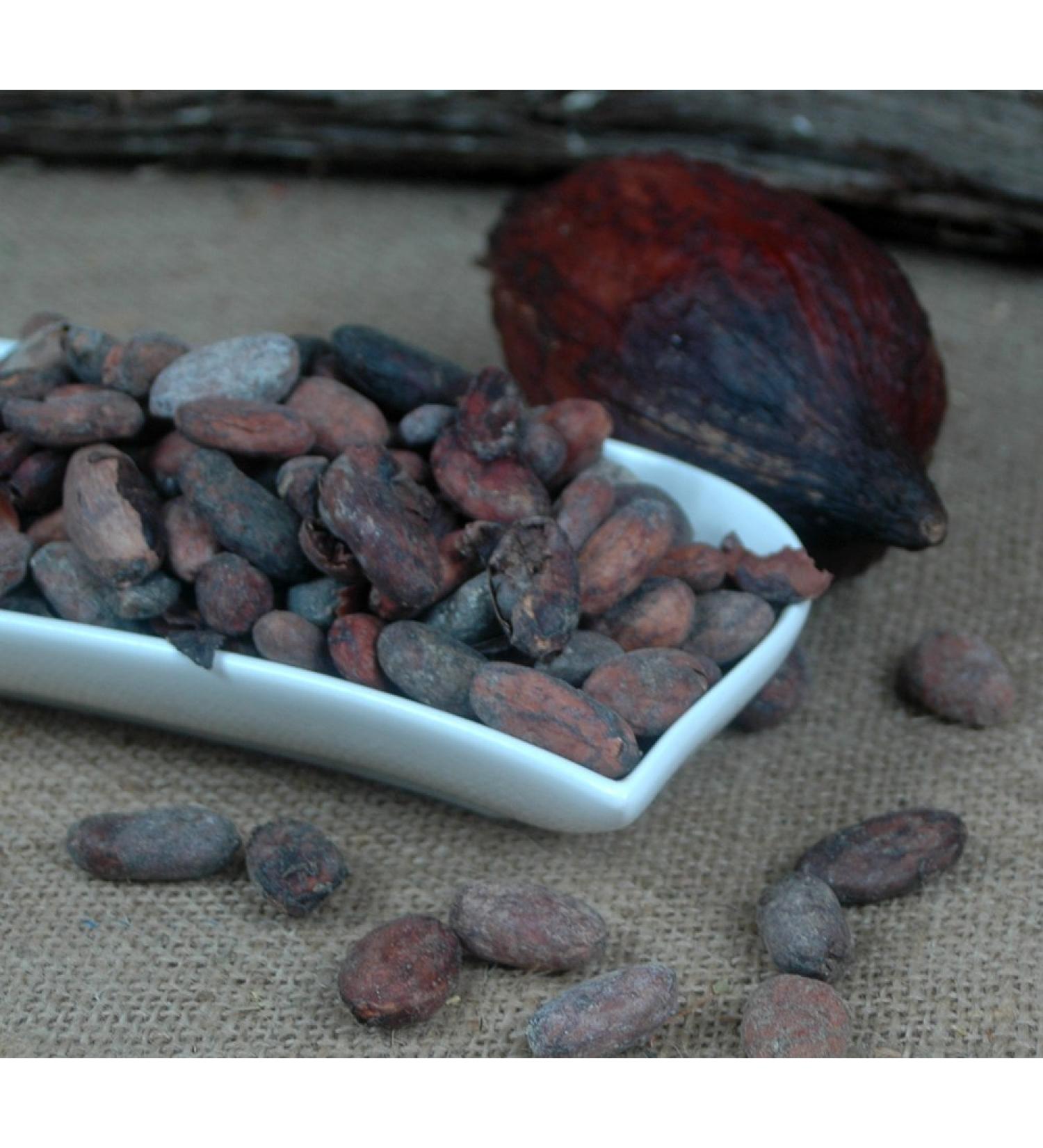 cocoa beans Ecuador untreated 250g