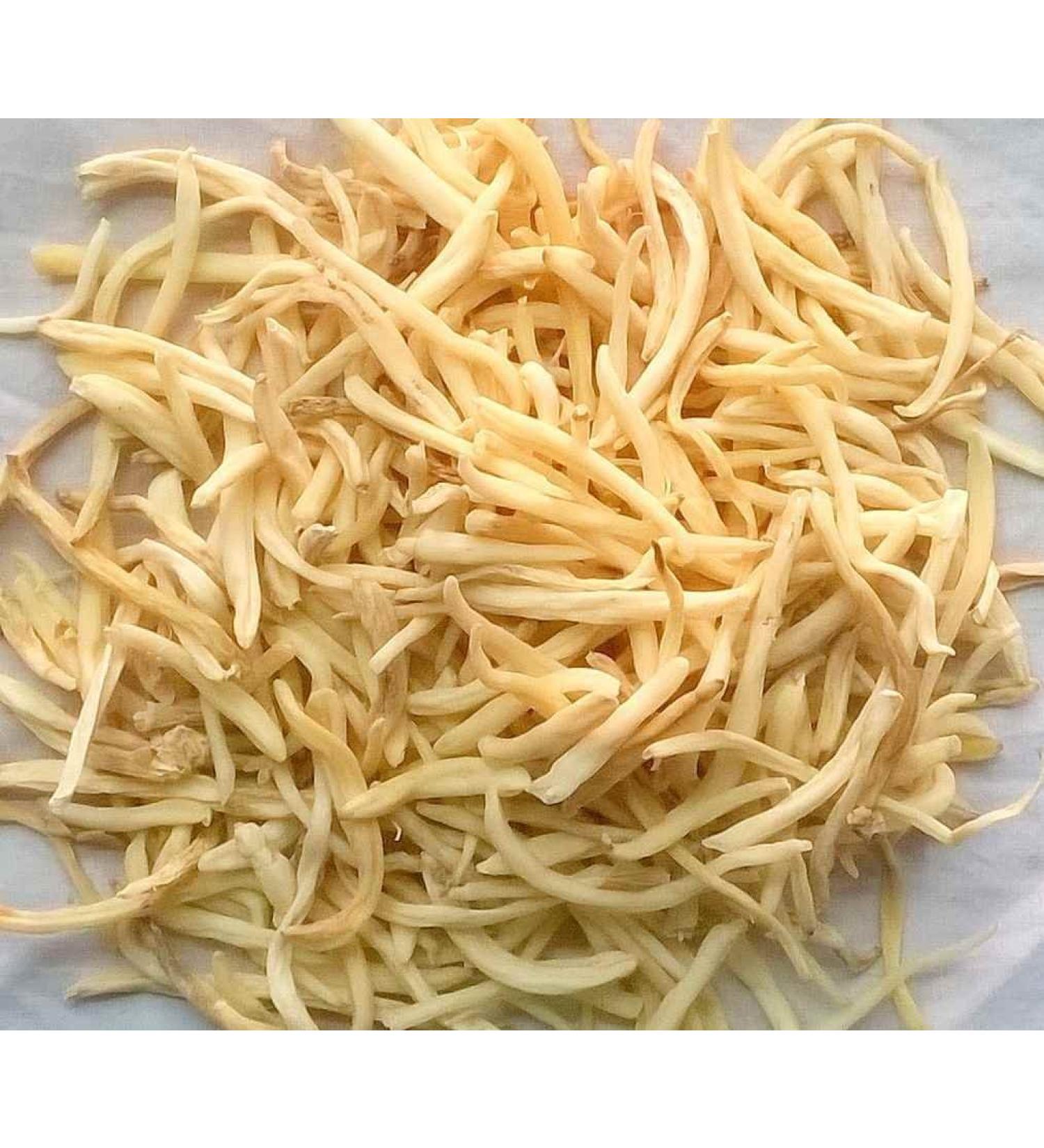 YANG Musli Safed Chlorophytum Borivilianum 200 g Musli Blanc