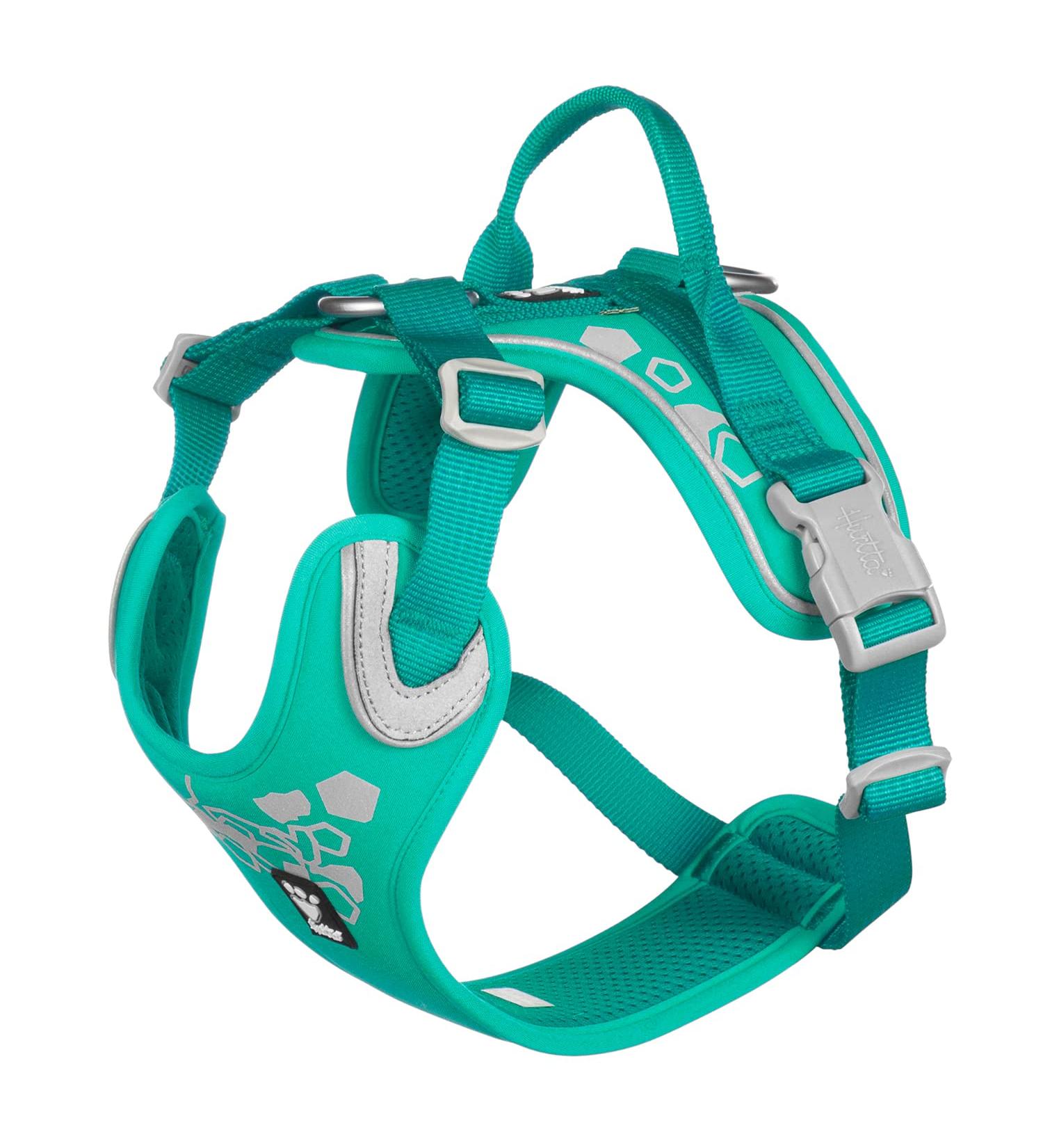 Hurtta Weekend Warrior Dog Harness for Medium Dogs - Peacock Turquoise (45-60 cm) | International Shipping Available - Buy Online on GoSupps.com