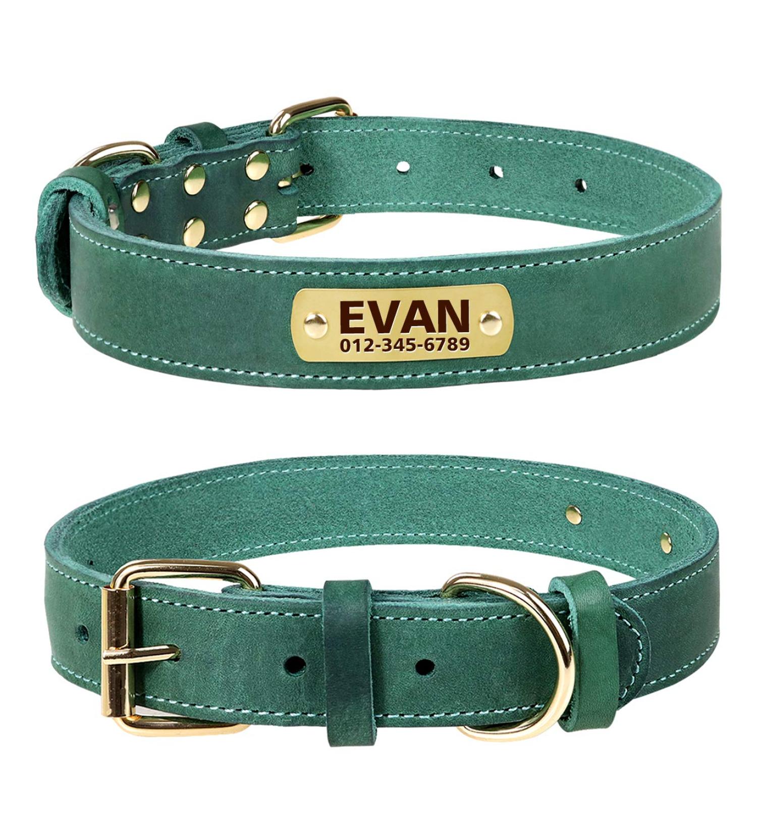 Tagme Personalized Leather Dog Collar - Engraved Name & Phone All Sizes (41-55cm) - Green - Buy Online on GoSupps.com