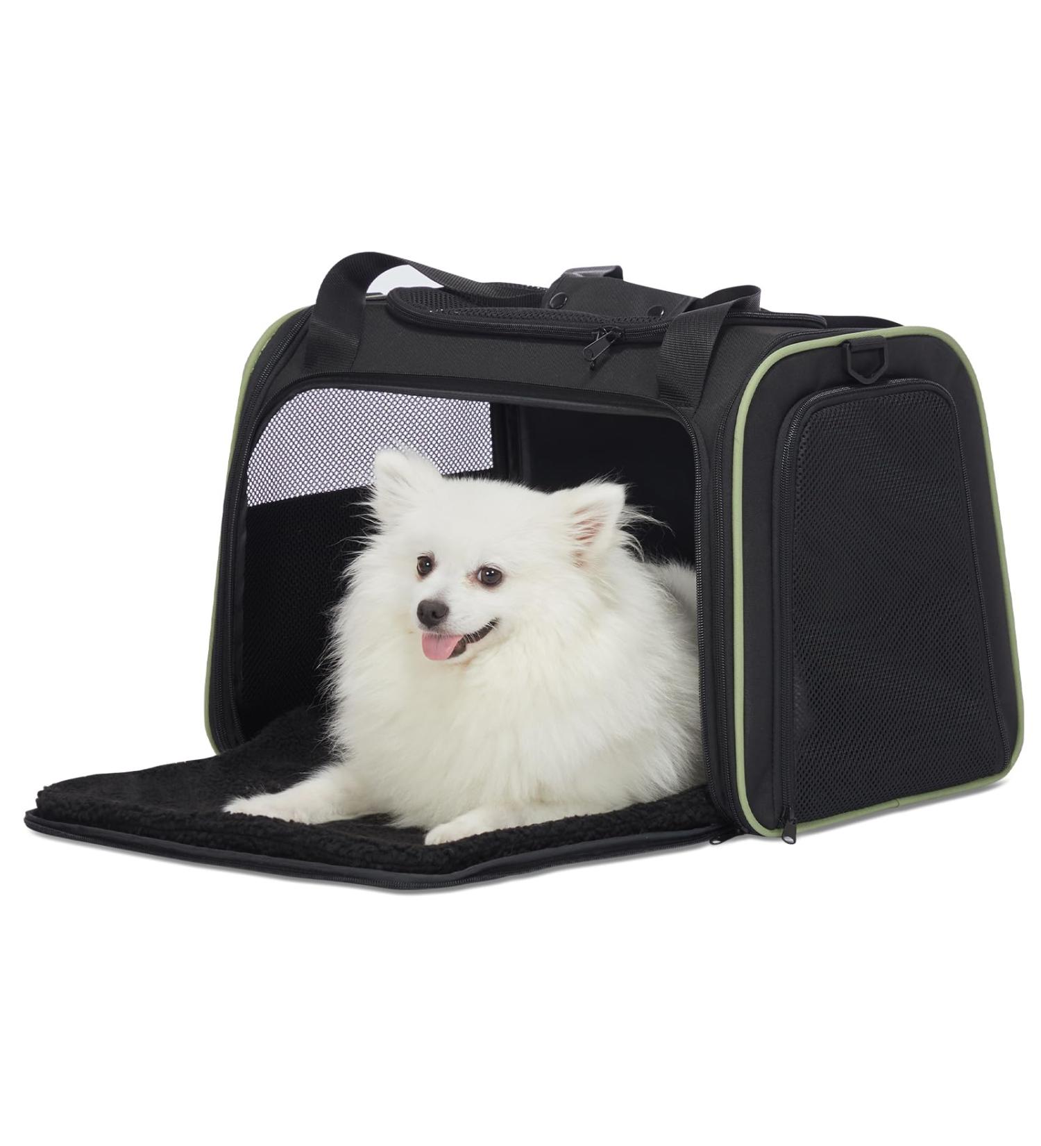 Petsfit TransportBox - Cat & Dog Carrying Bag with Shoulder Strap & Expandable Bed Inlay | Travel Bag for Dogs & Cats (Large/Black) - Buy Online on GoSupps.com