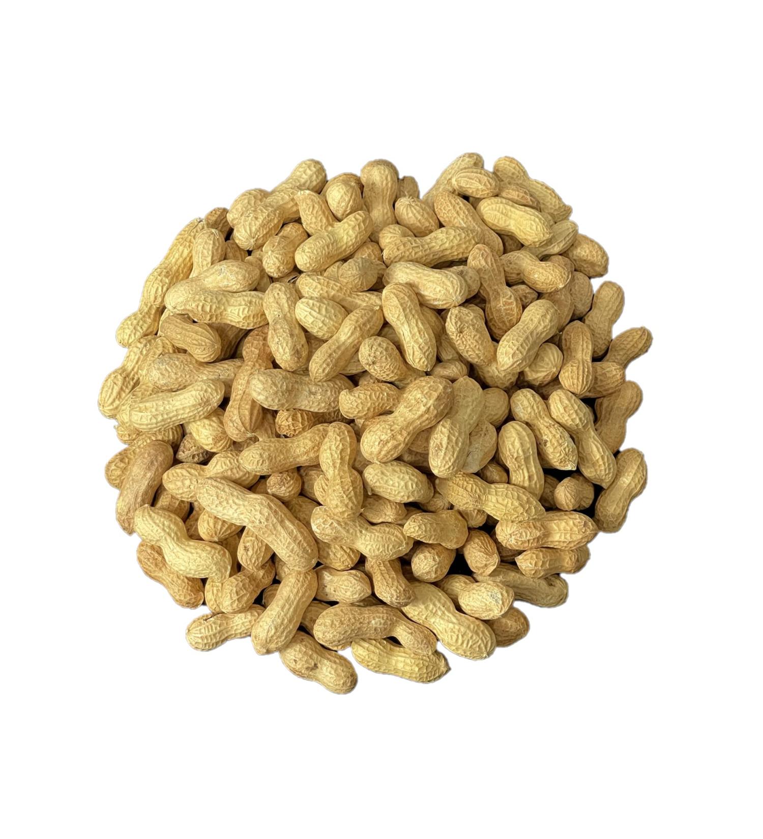 Peanuts in Shell Bird Feed - 10LB | Premium Animal Feed - Buy Online on GoSupps.com