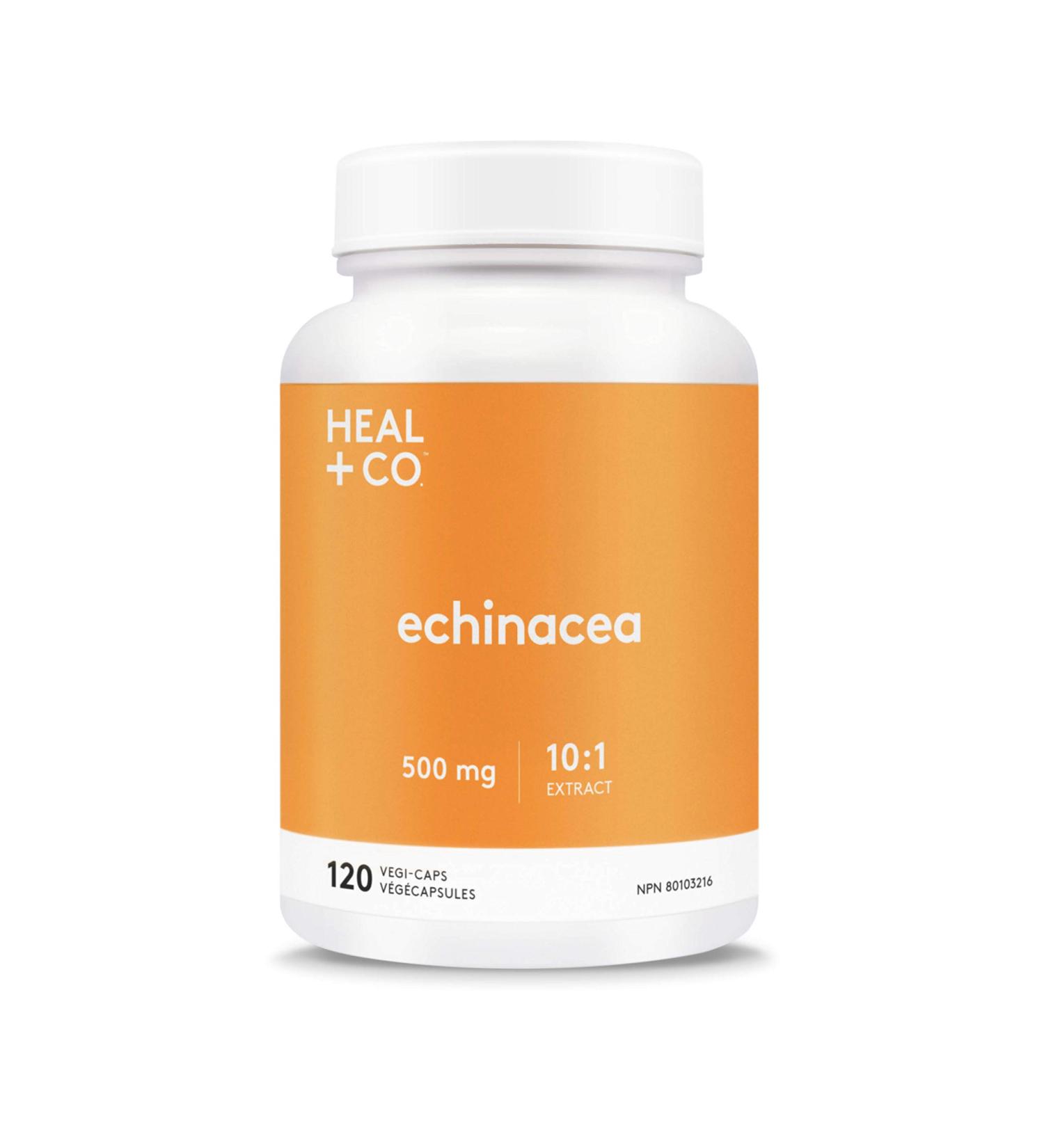 HEAL + CO. Echinacea Supplement | High Potency 10:1 Extract 5000 mg per serving | Immune Support | 120 x 500 mg Capsules - Buy Online on GoSupps.com