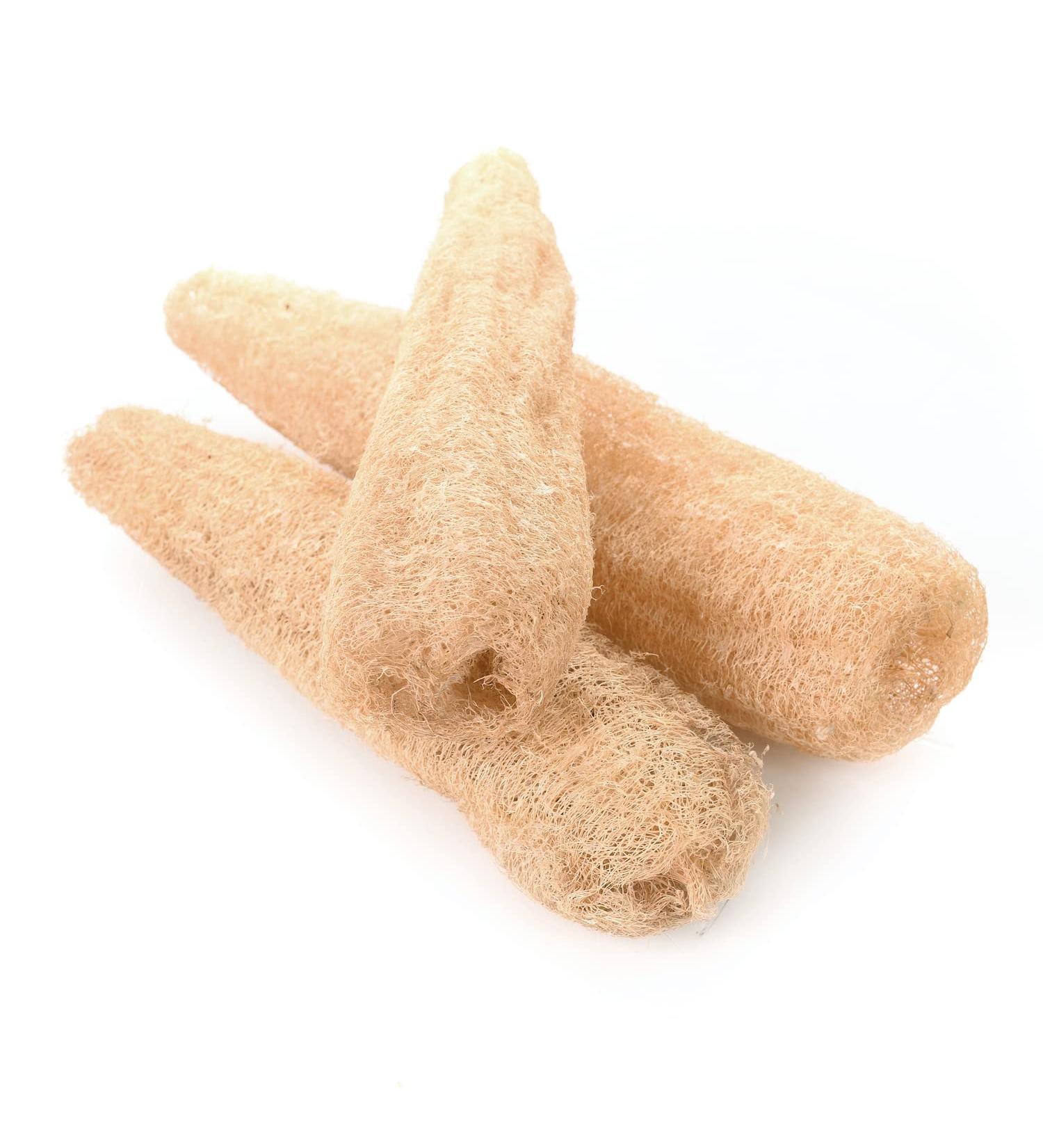 3 Pack Natural Loofah Exfoliating Body Sponges - Eco-Friendly, Biodegradable Shower Luffa - Buy Online on GoSupps.com