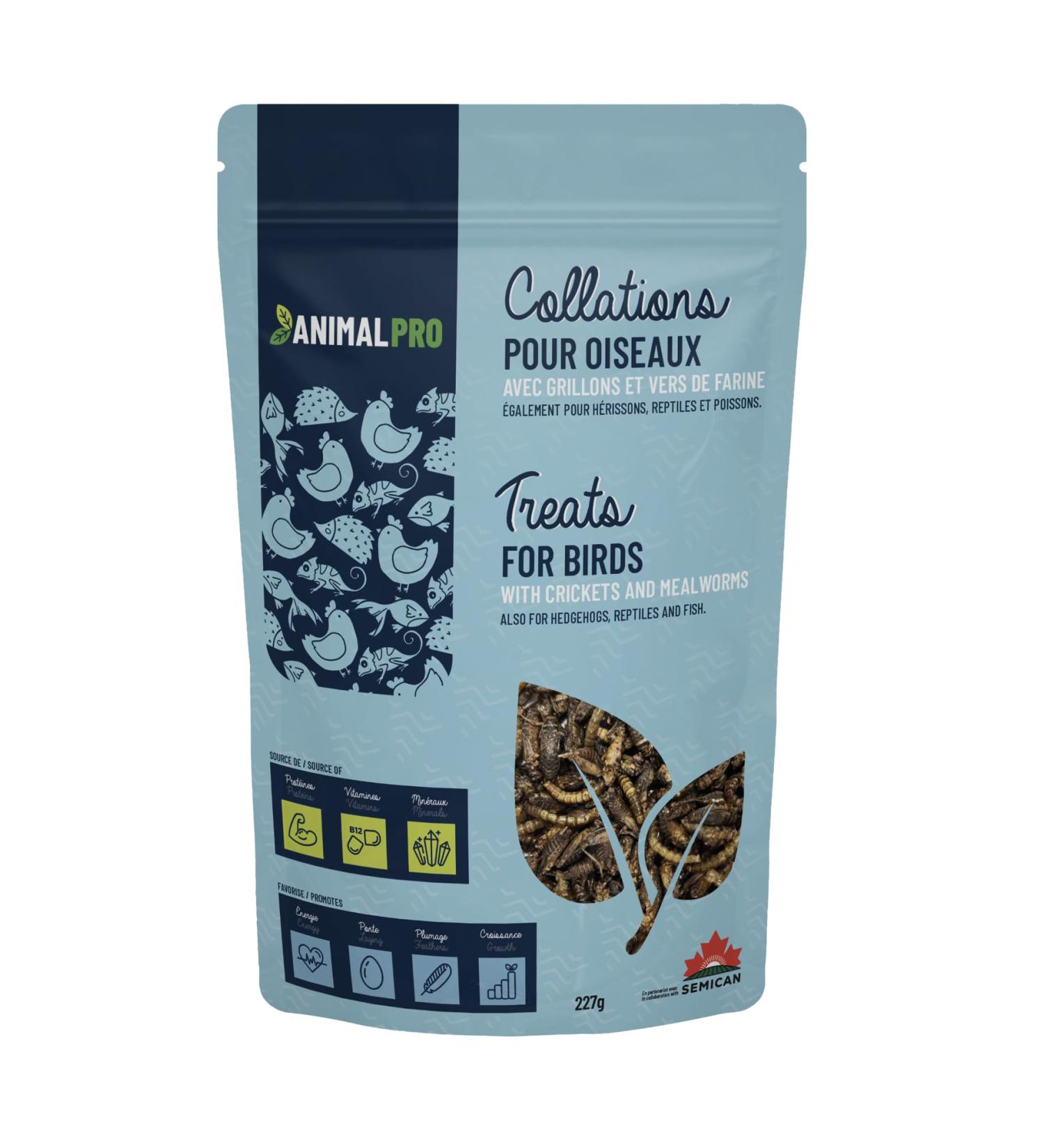 AnimalPro Mealworms and Crickets 227 g - 0 5 LB - Buy Online on GoSupps.com