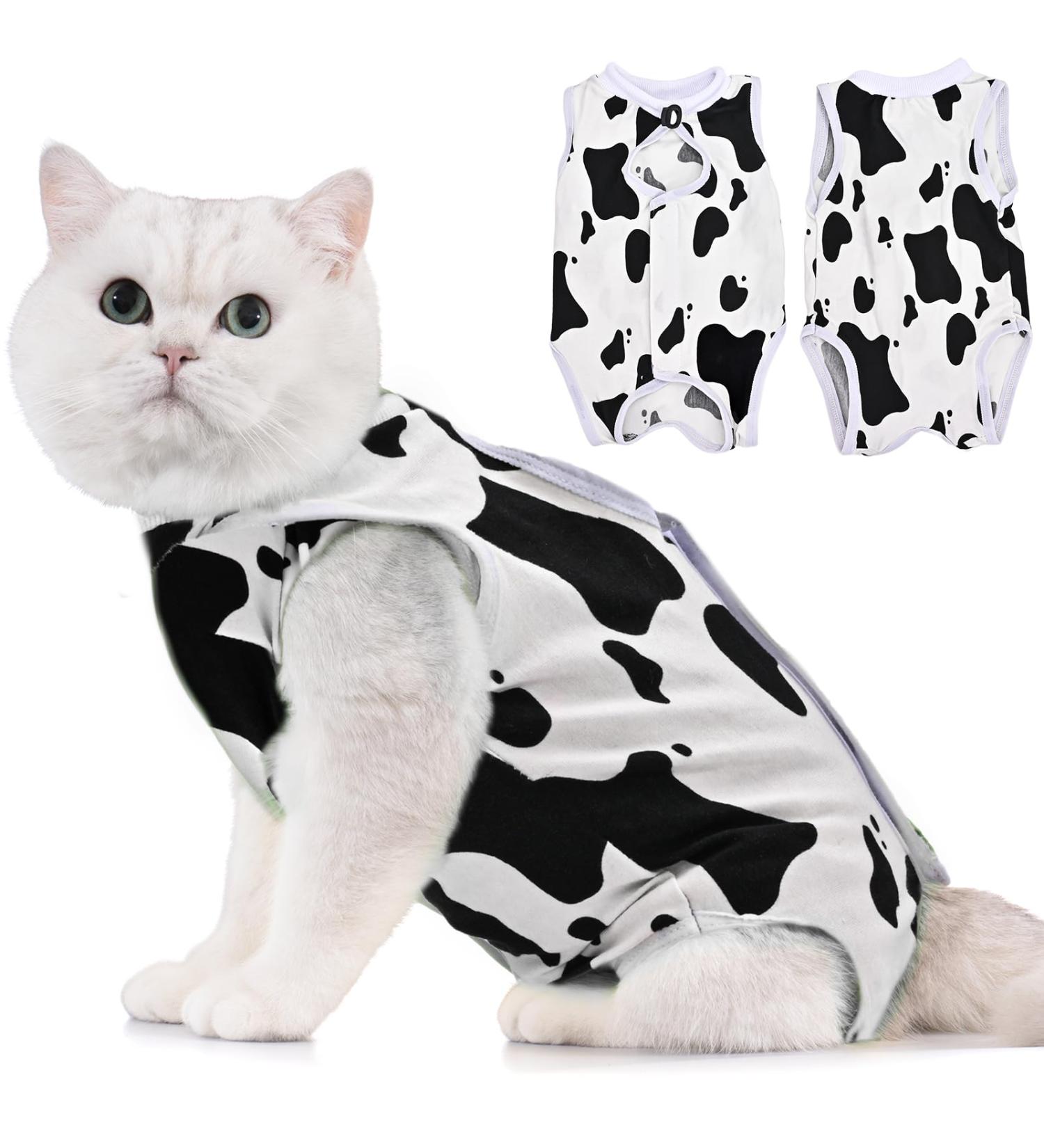 Avont Katzenbody: Post-Op Recovery Suit for Cats - Leakage Protection for Abdominal Wounds & Skin Diseases | International Shipping Available - Buy Online on GoSupps.com