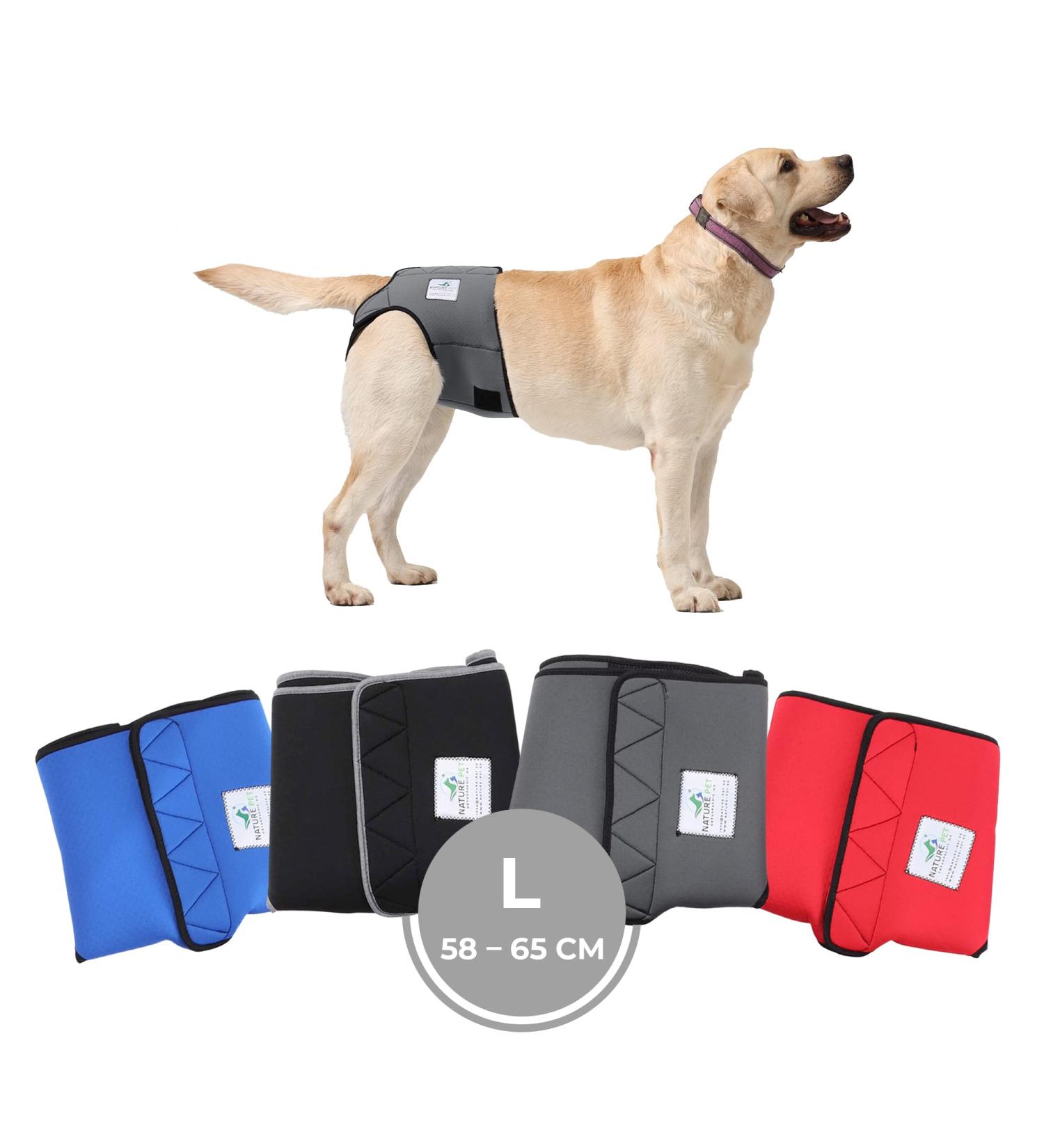 Sailing Trousers for Dogs 2.0 - High-Quality Neoprene Diapers for Males - Optimal Air Exchange No Threading - Size L Gray - Buy Online on GoSupps.com